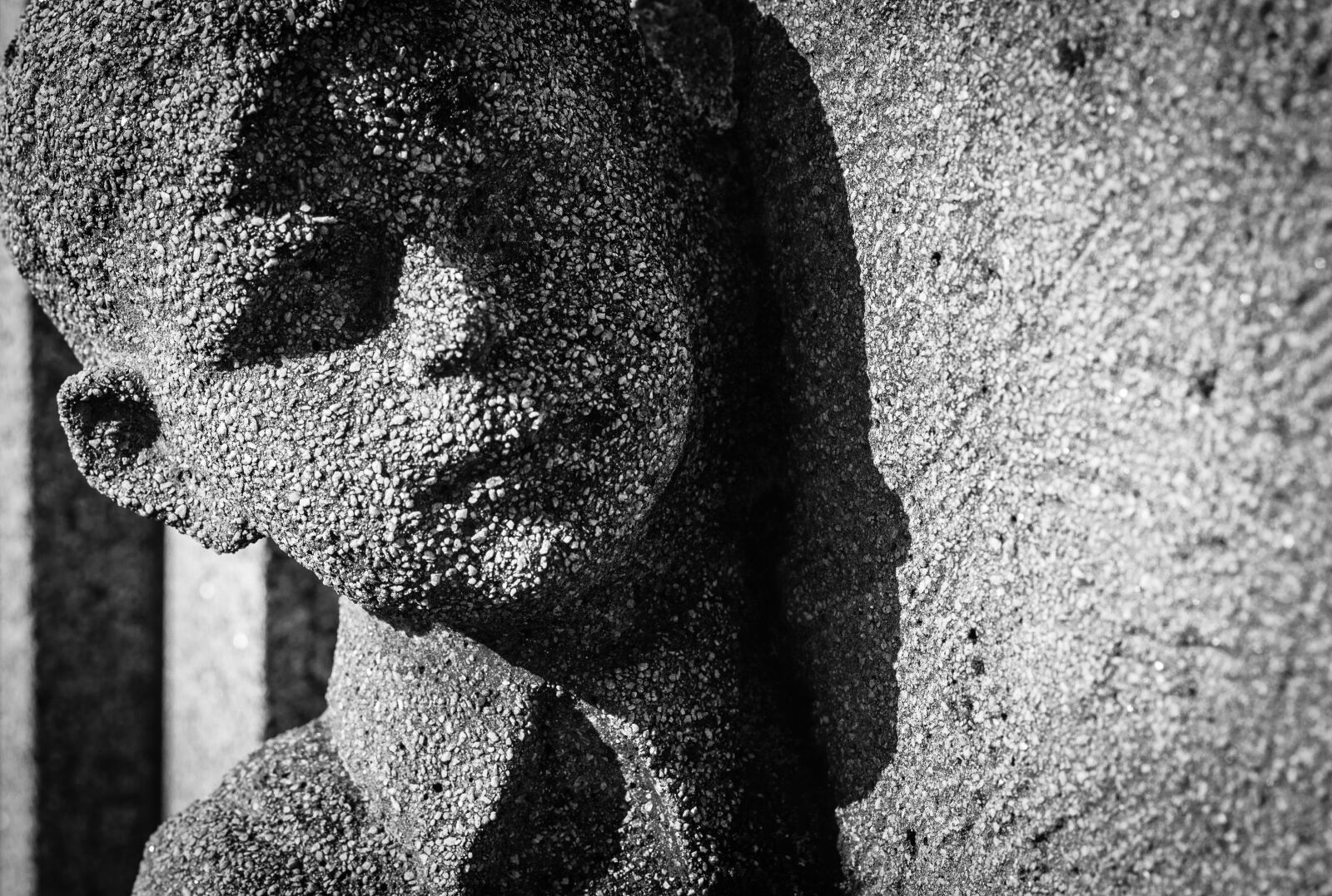 Canon EOS 700D (EOS Rebel T5i / EOS Kiss X7i) + Canon EF 50mm F1.8 STM sample photo. Face, boy, death photography