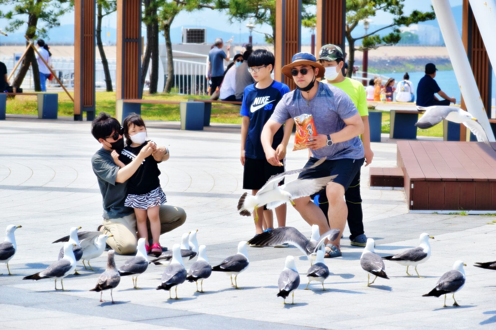 Nikon D5300 sample photo. Daebudo, seagull, zoom shot photography