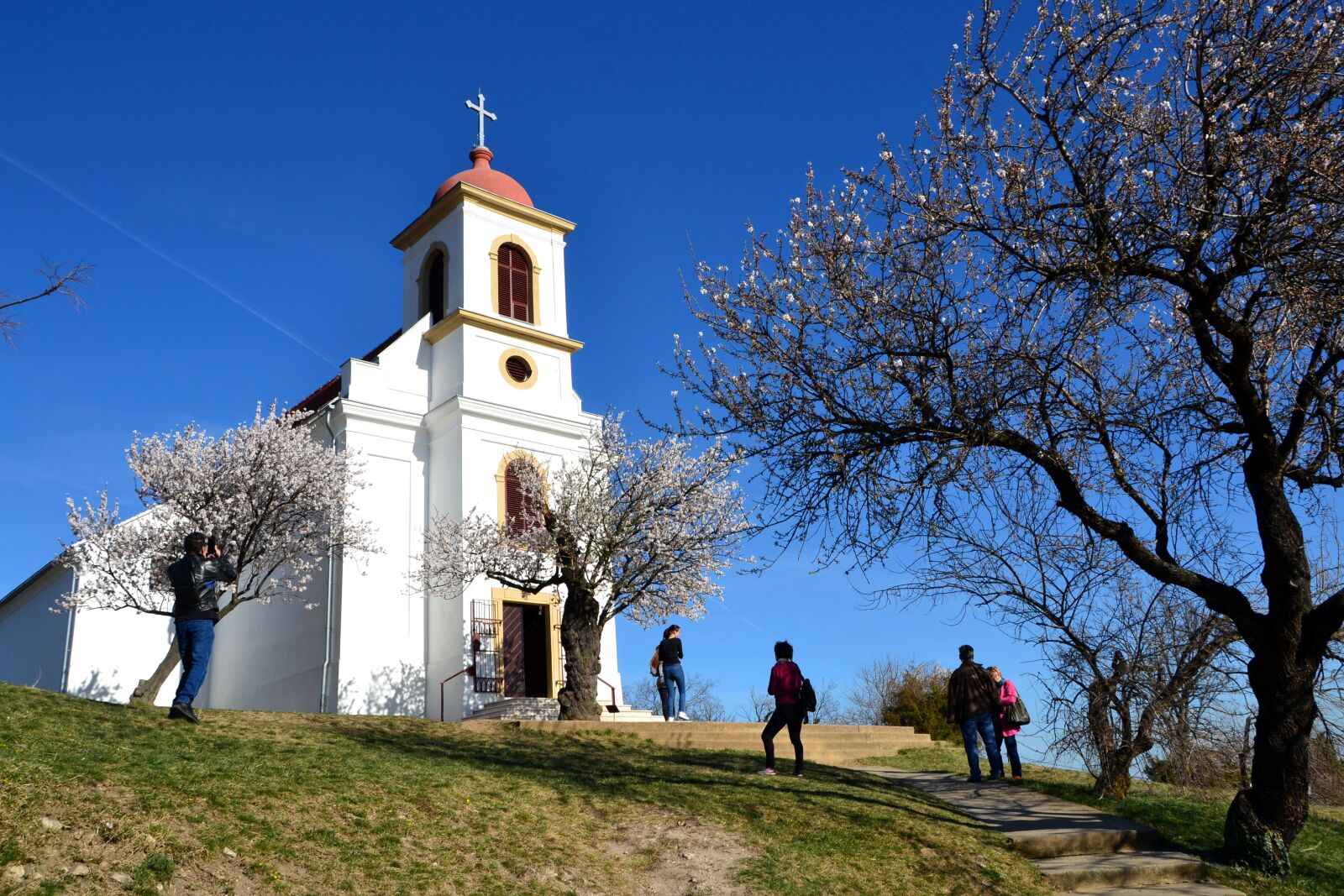 Nikon D3100 sample photo. Baranya, pecs, church photography