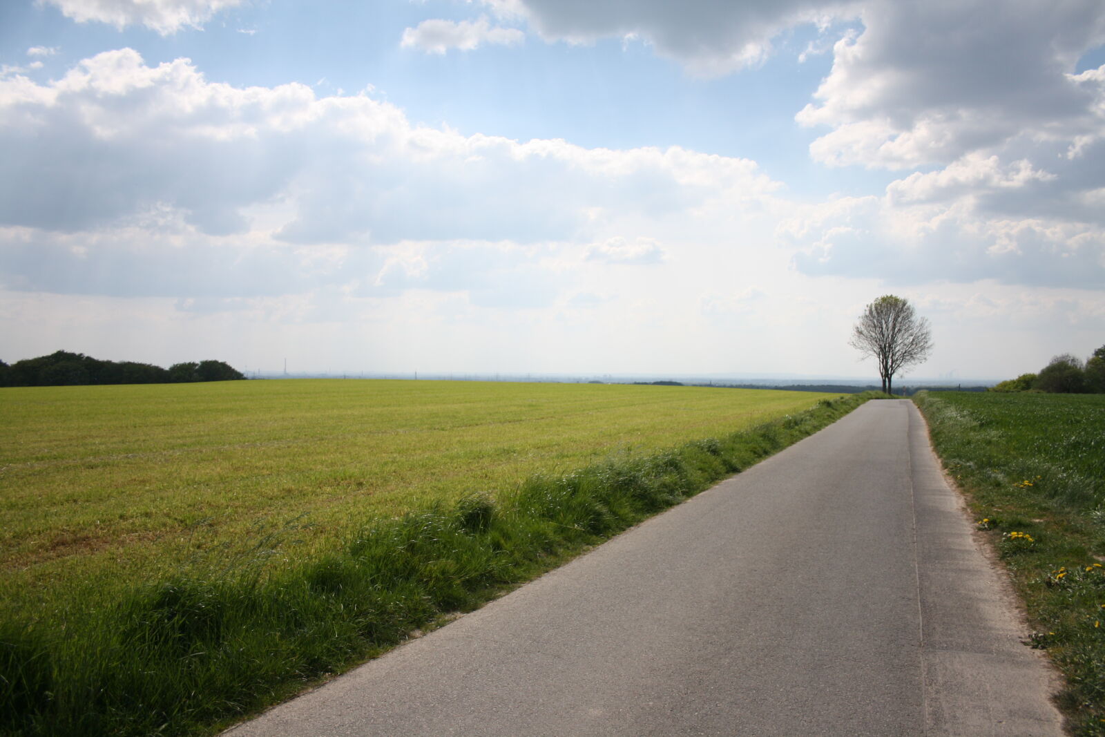 Canon EF-S 18-55mm F3.5-5.6 II sample photo. Grass, landscape, path, sky photography