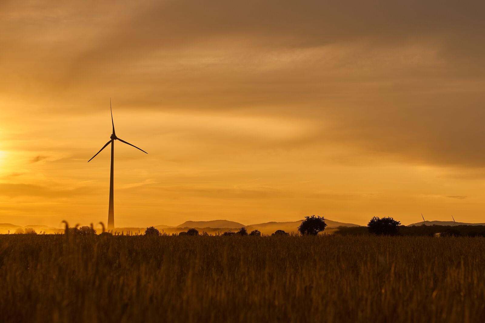 Sony E 50mm F1.8 OSS sample photo. Wind power, energy, wind photography