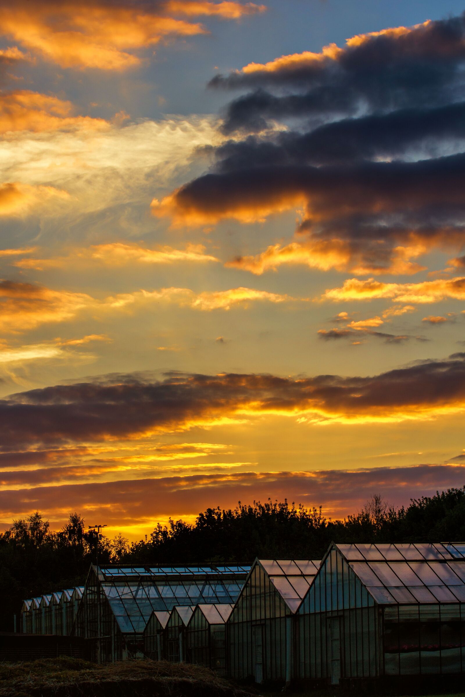 Canon EOS 550D (EOS Rebel T2i / EOS Kiss X4) sample photo. Gelsenkirchen, resser-mark, sunset photography
