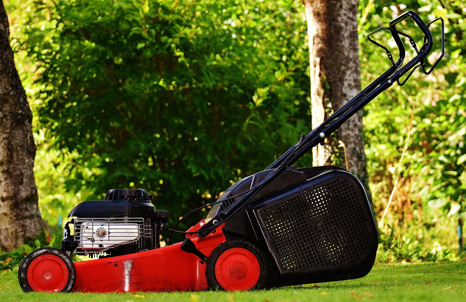 Nikon D7200 sample photo. Lawn mower, gardening, mow photography