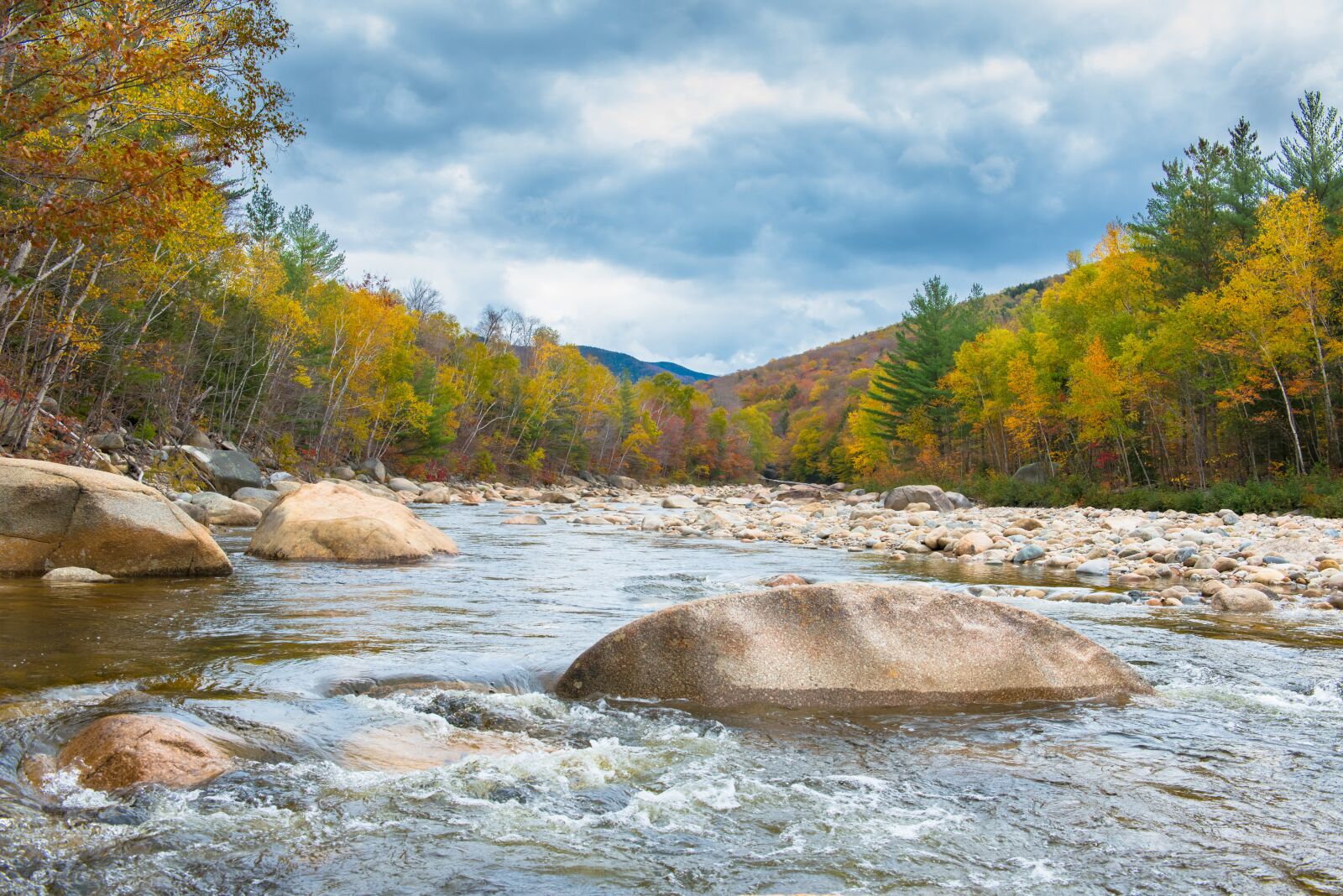 Nikon D800 sample photo. Autumn, leaves, colorful photography