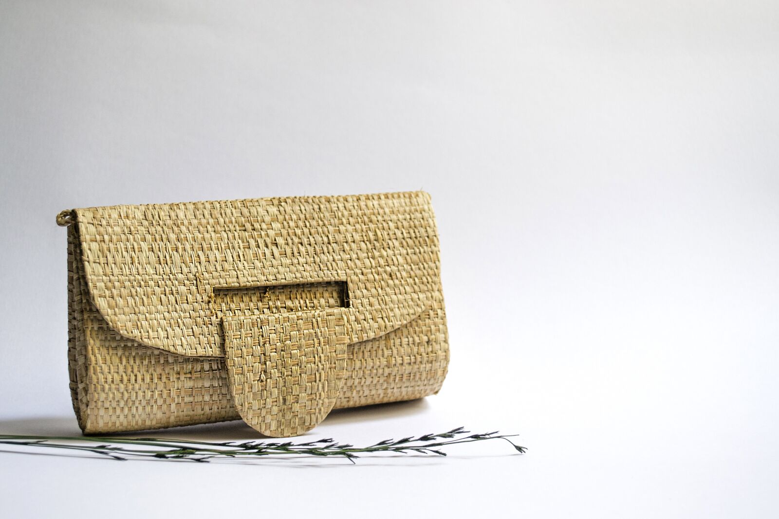 Nikon D3100 sample photo. Carry-on bag, straw, the photography