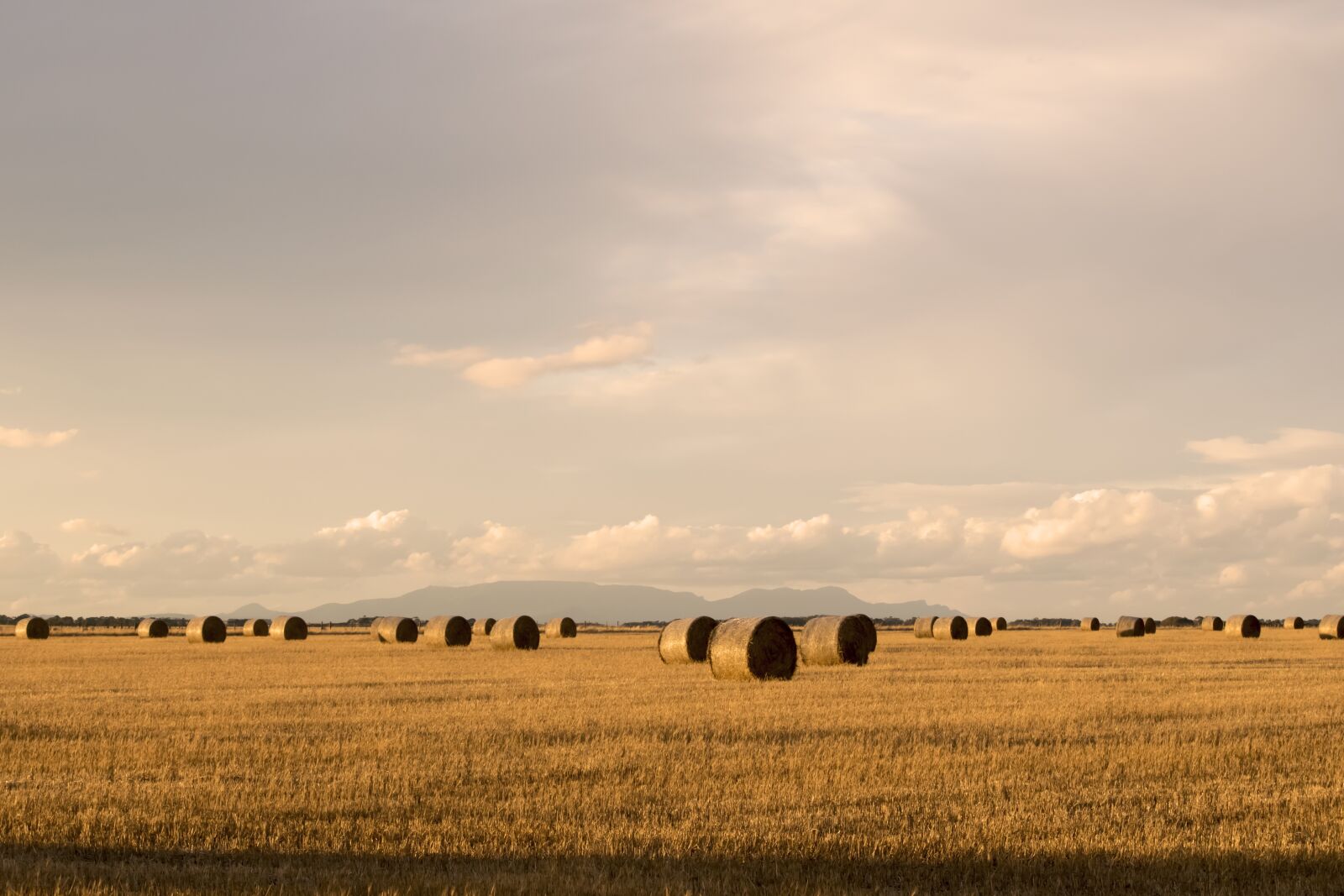Nikon D5300 sample photo. Hay, bales, straw photography