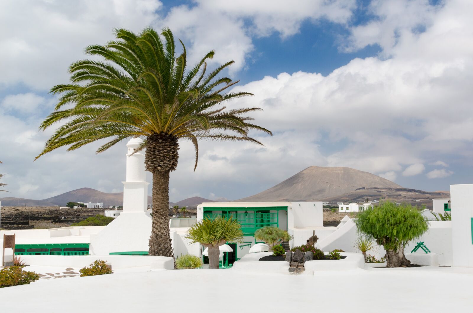 Nikon D5100 sample photo. Palm, lanzarote, canary islands photography