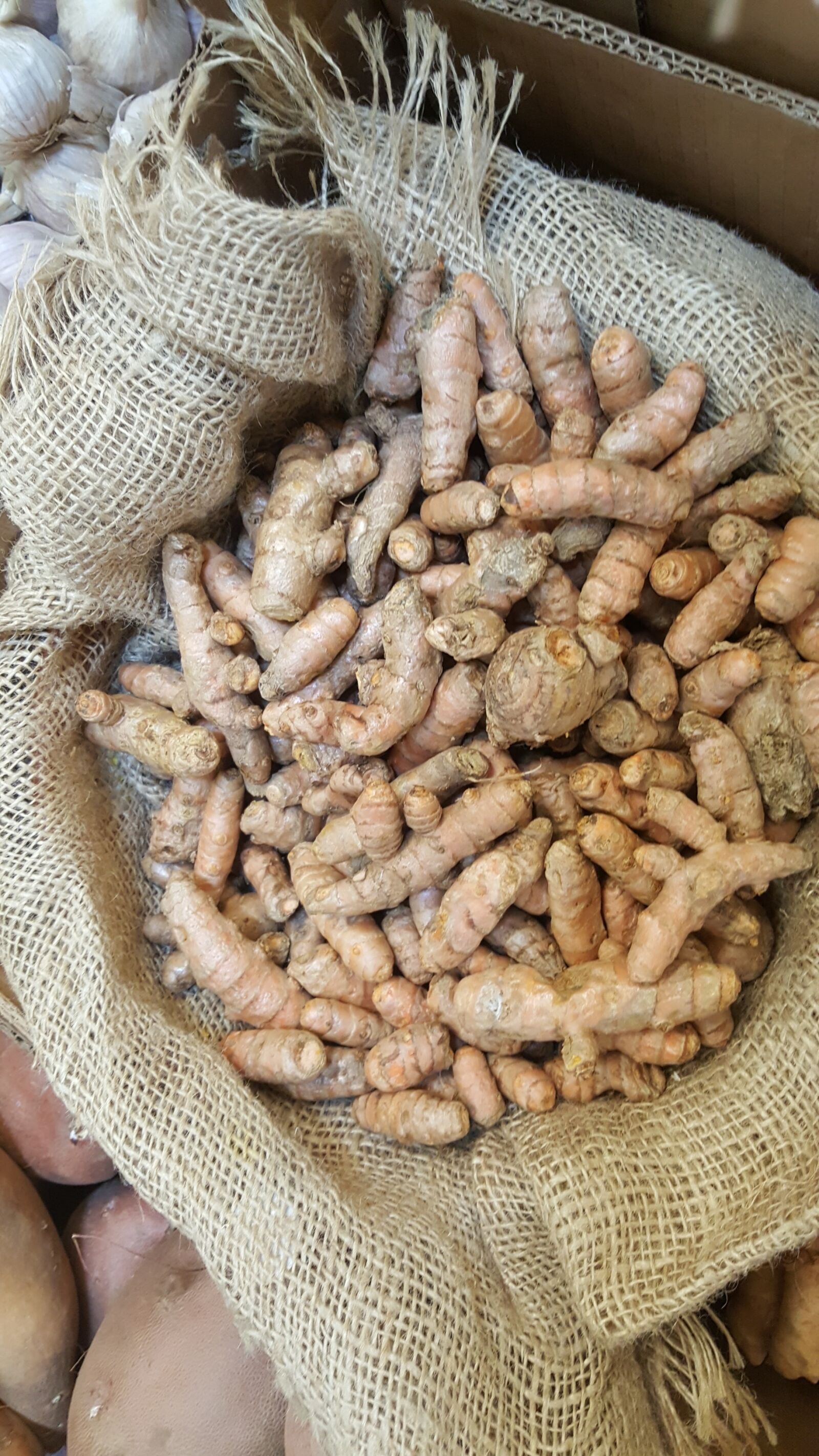 Samsung Galaxy S6 sample photo. Turmeric, bulk, spice photography