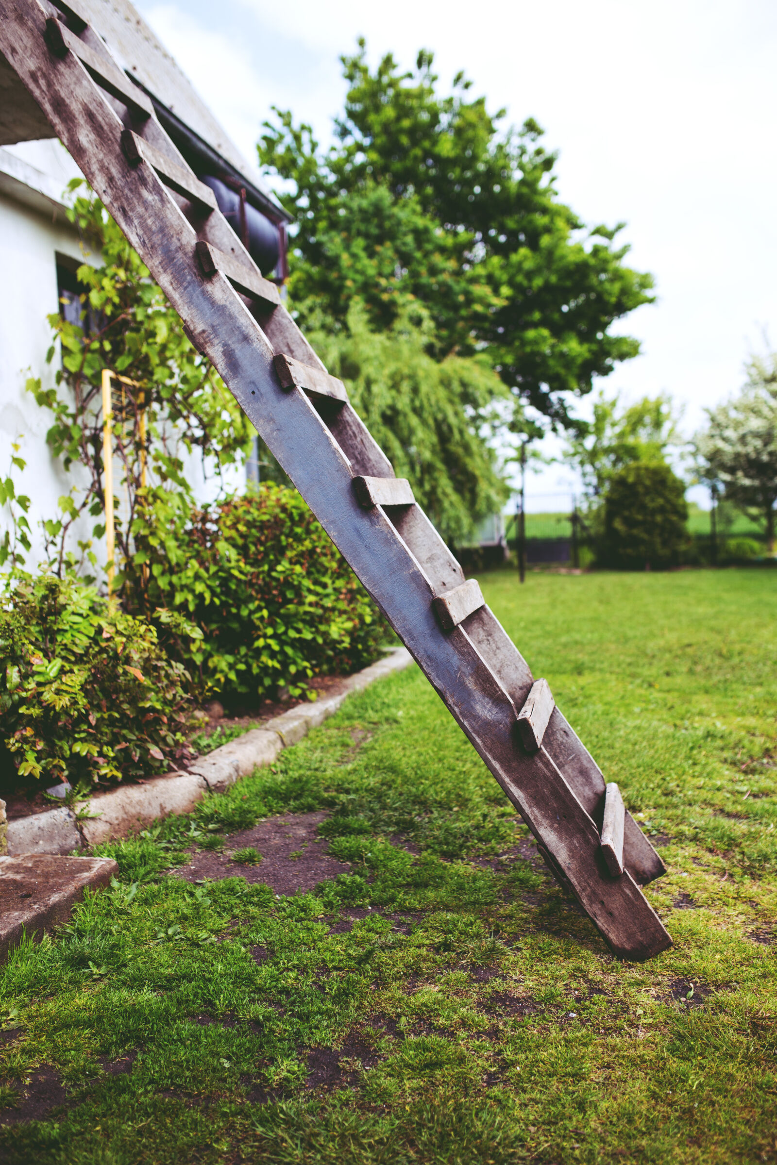 Canon EOS 6D + Sigma 35mm F1.4 DG HSM Art sample photo. Wooden, ladder photography