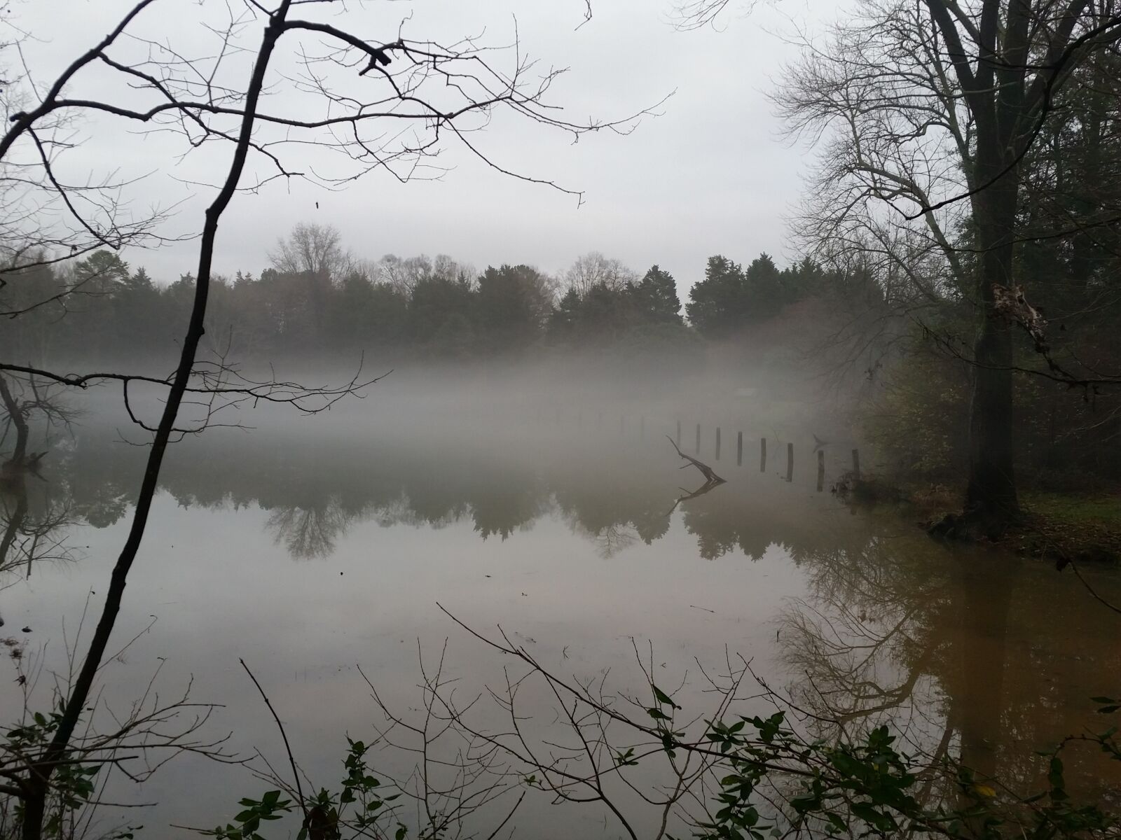 Samsung Galaxy S5 sample photo. Pond, lake, calm photography