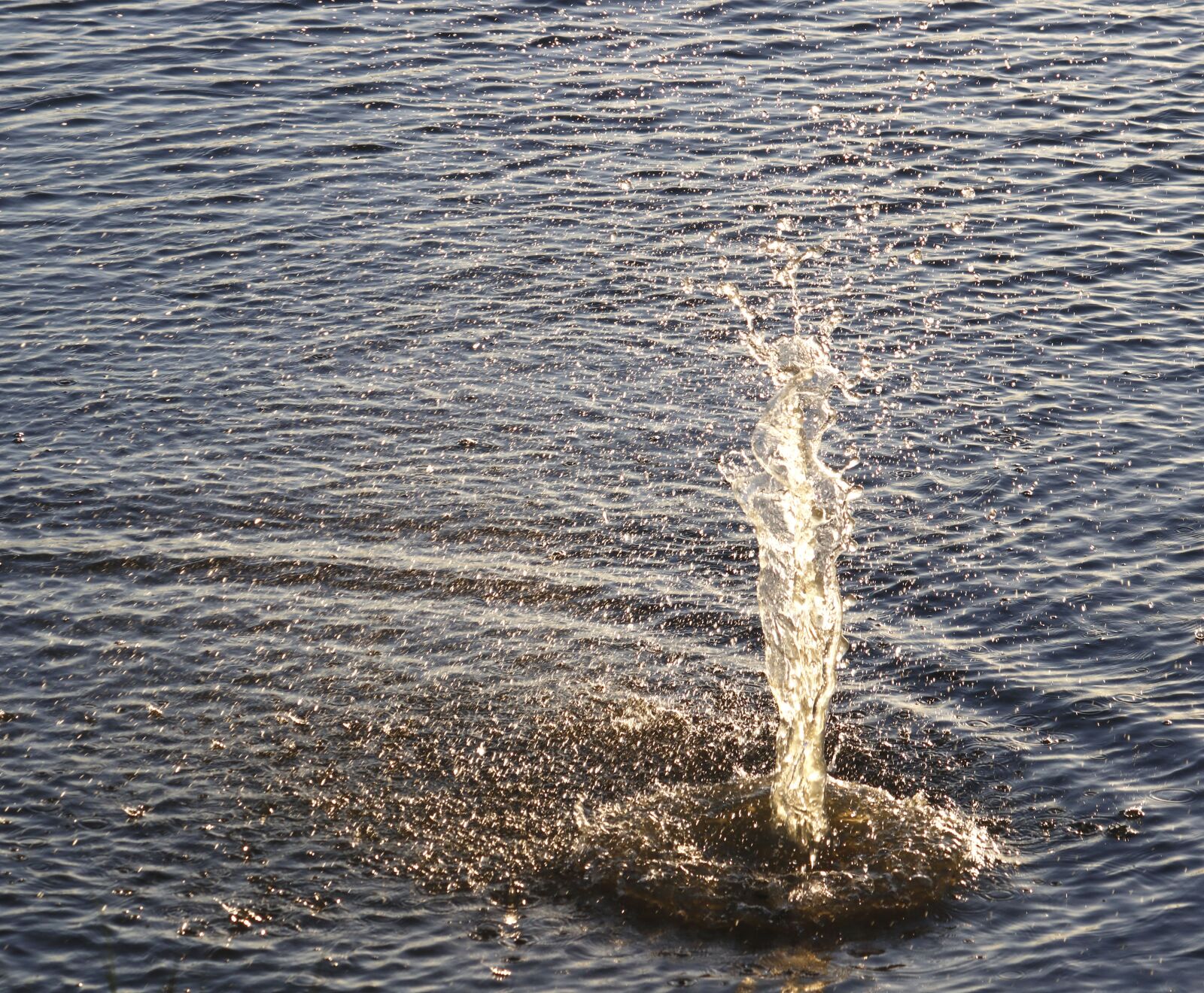 Canon EF-S 55-250mm F4-5.6 IS sample photo. Water, splash, gold photography