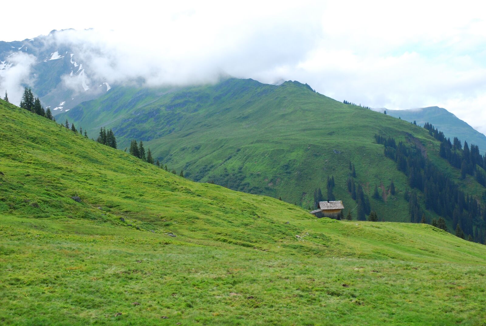 Nikon D80 sample photo. Mountain meadow, meadow, alpine photography