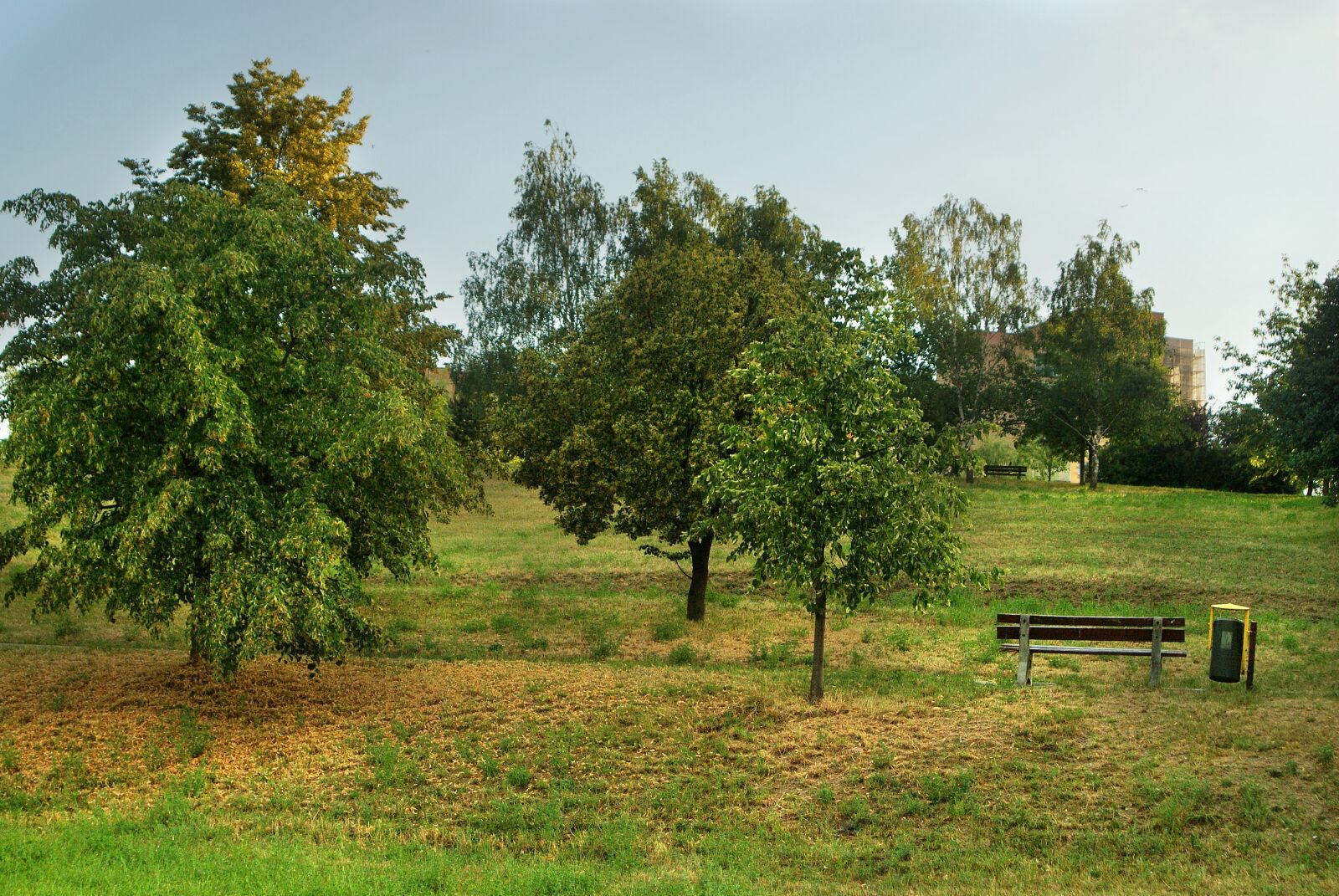 Sony Alpha DSLR-A200 sample photo. Author, skibka, photo photography