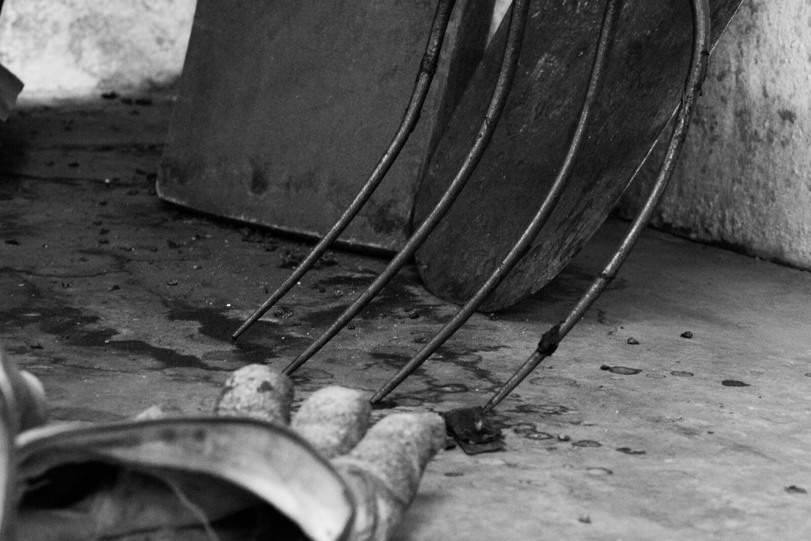 Nikon D3100 sample photo. Farm, tools, gloves photography