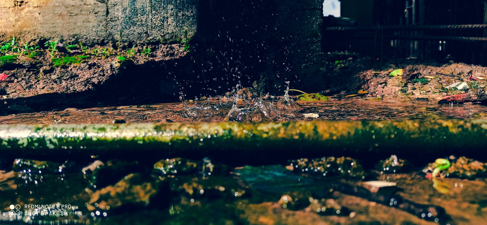 Xiaomi Redmi Note 8 Pro sample photo. The miniature muddy, fishy photography