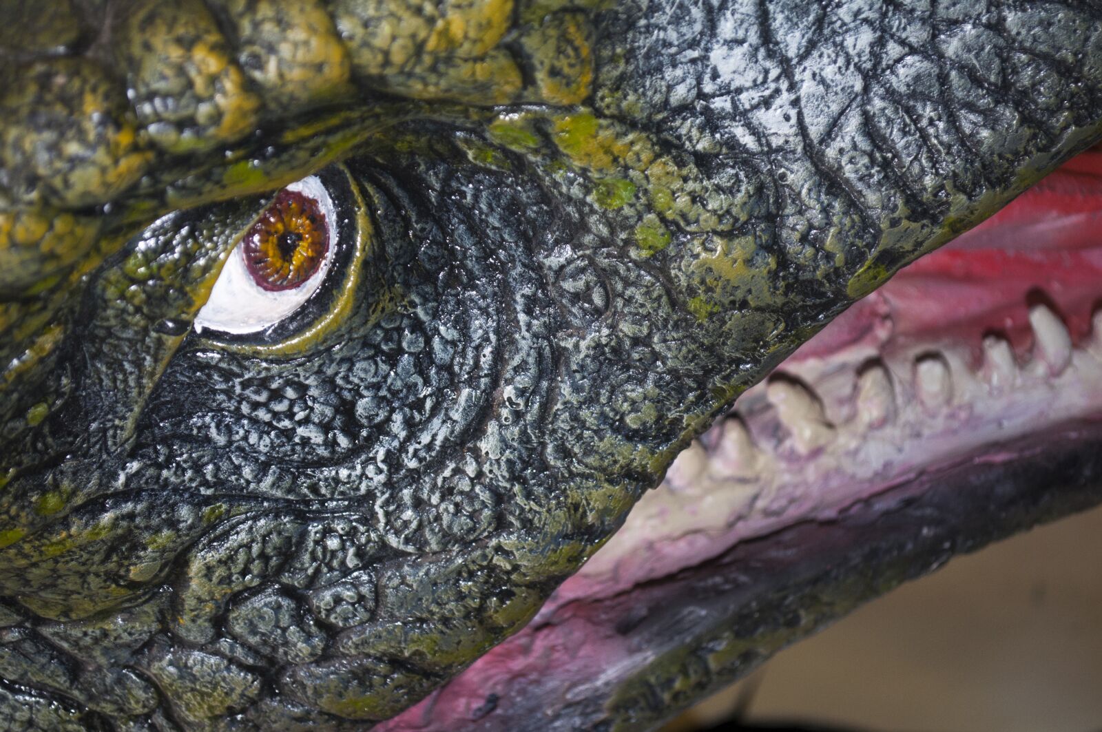 Nikon D90 sample photo. Nature, animal, reptile photography