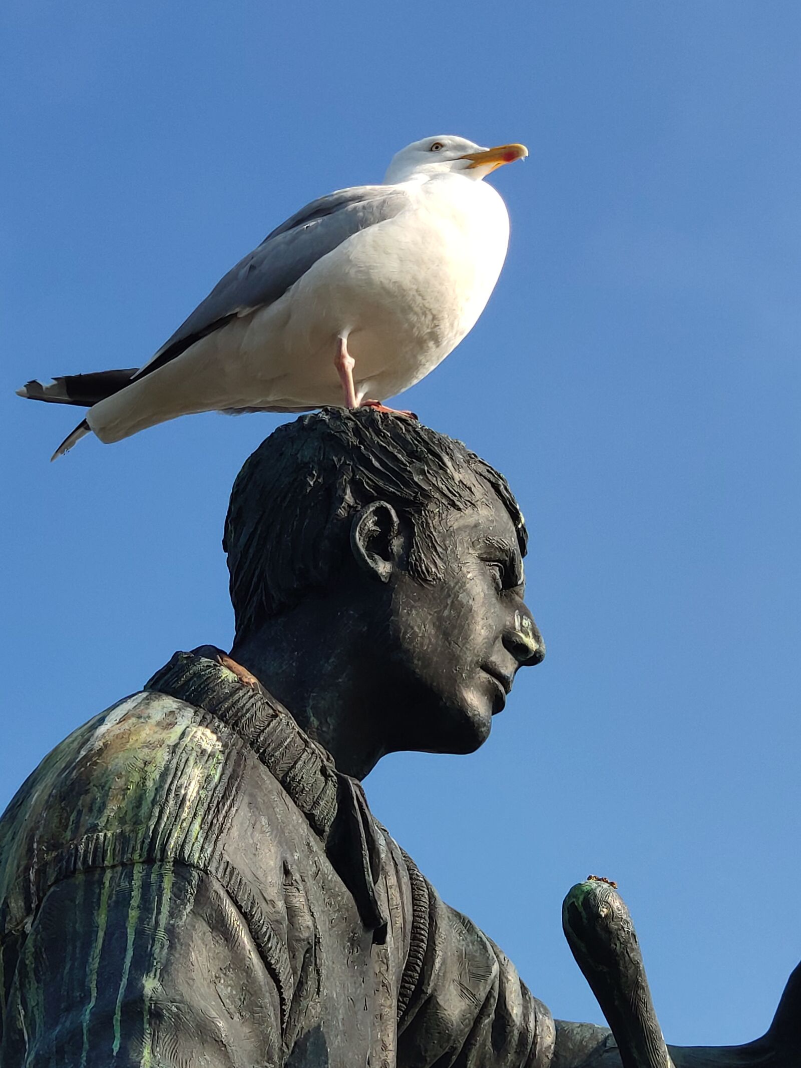 Xiaomi MI 8 sample photo. Brixham, man and boy photography