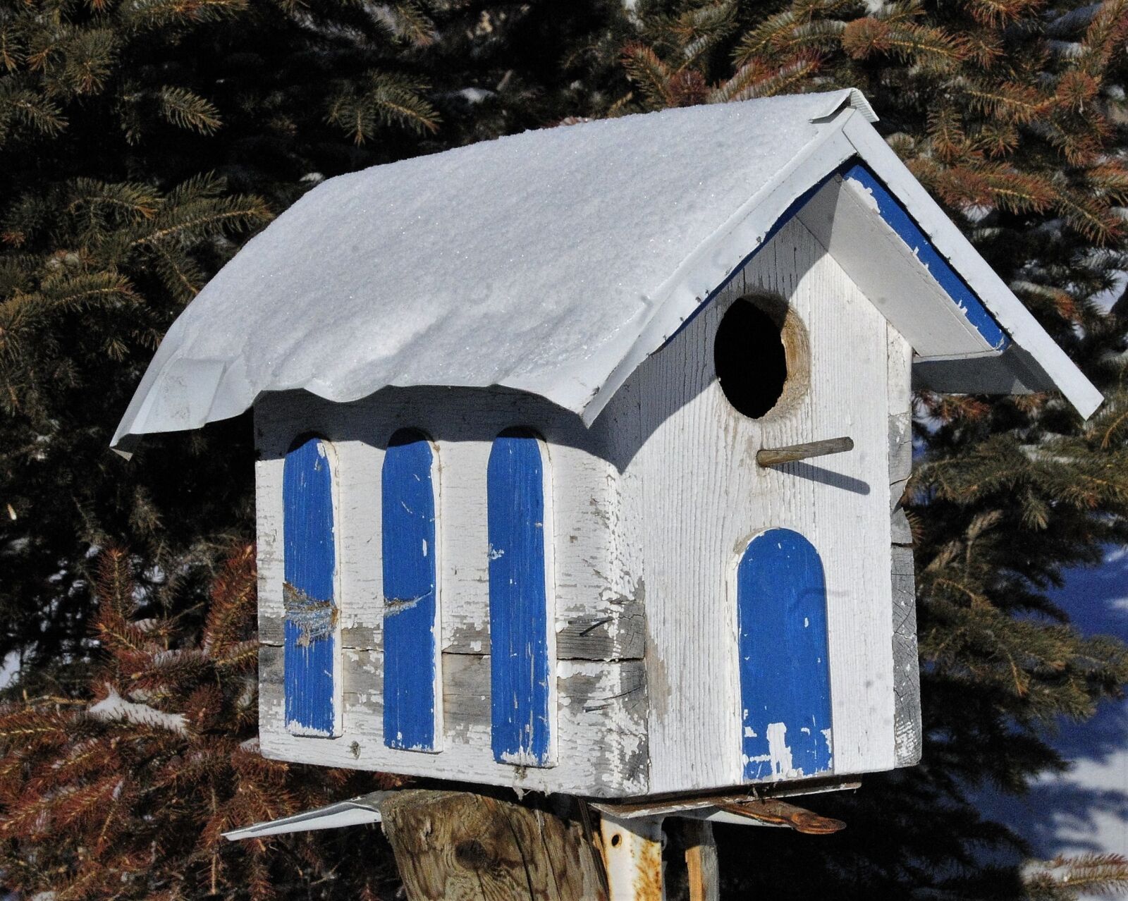Nikon D300 sample photo. Bird house, bird, birdhouse photography