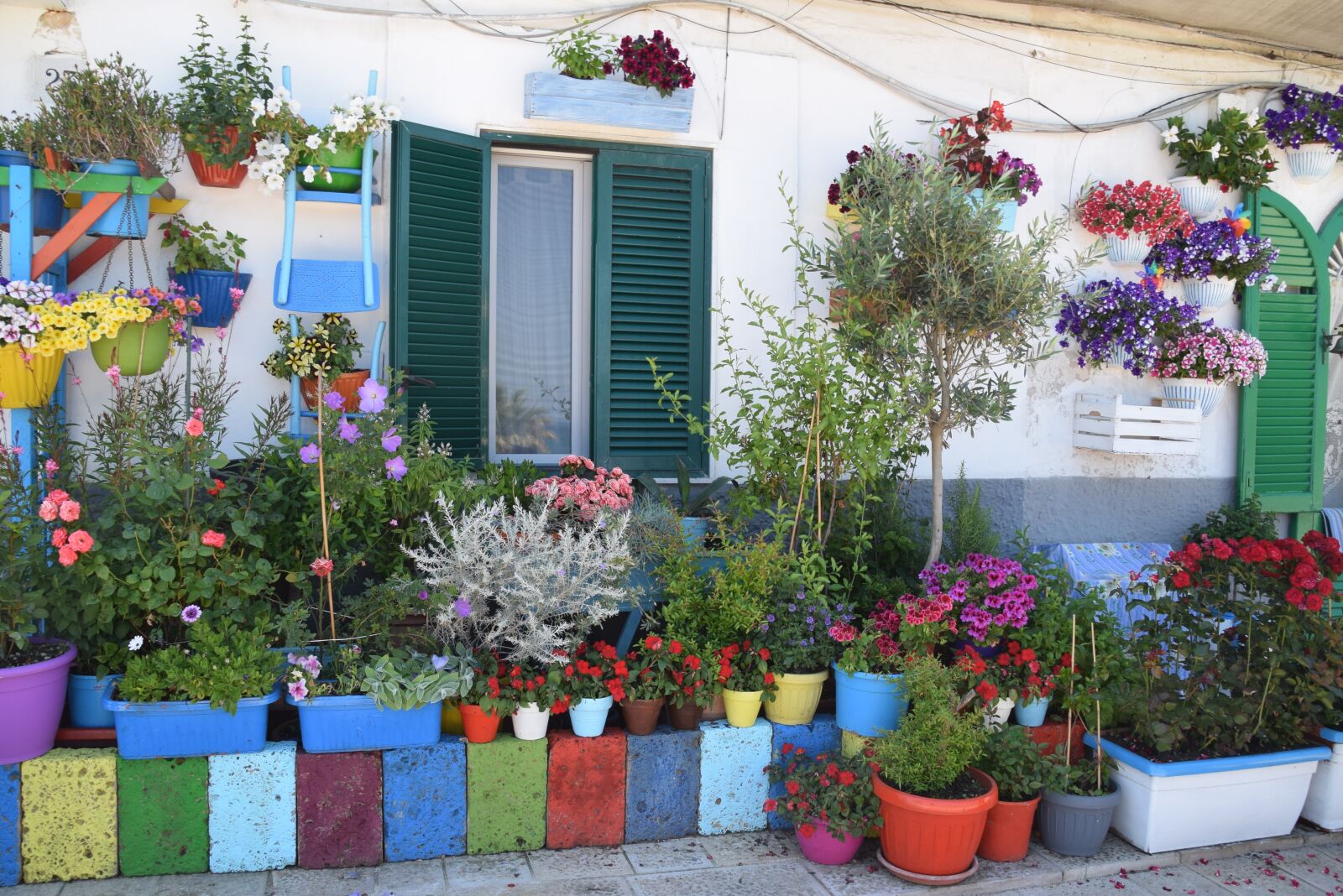 Nikon D5300 sample photo. Italy, barry, color photography