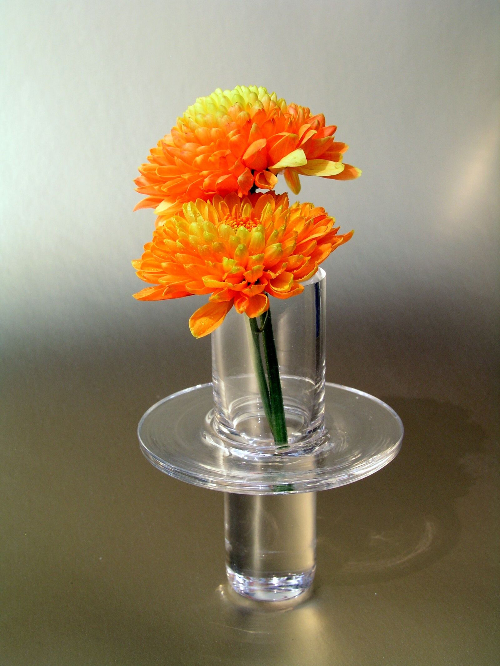 Olympus C5050Z sample photo. Crystal, still life, flower photography