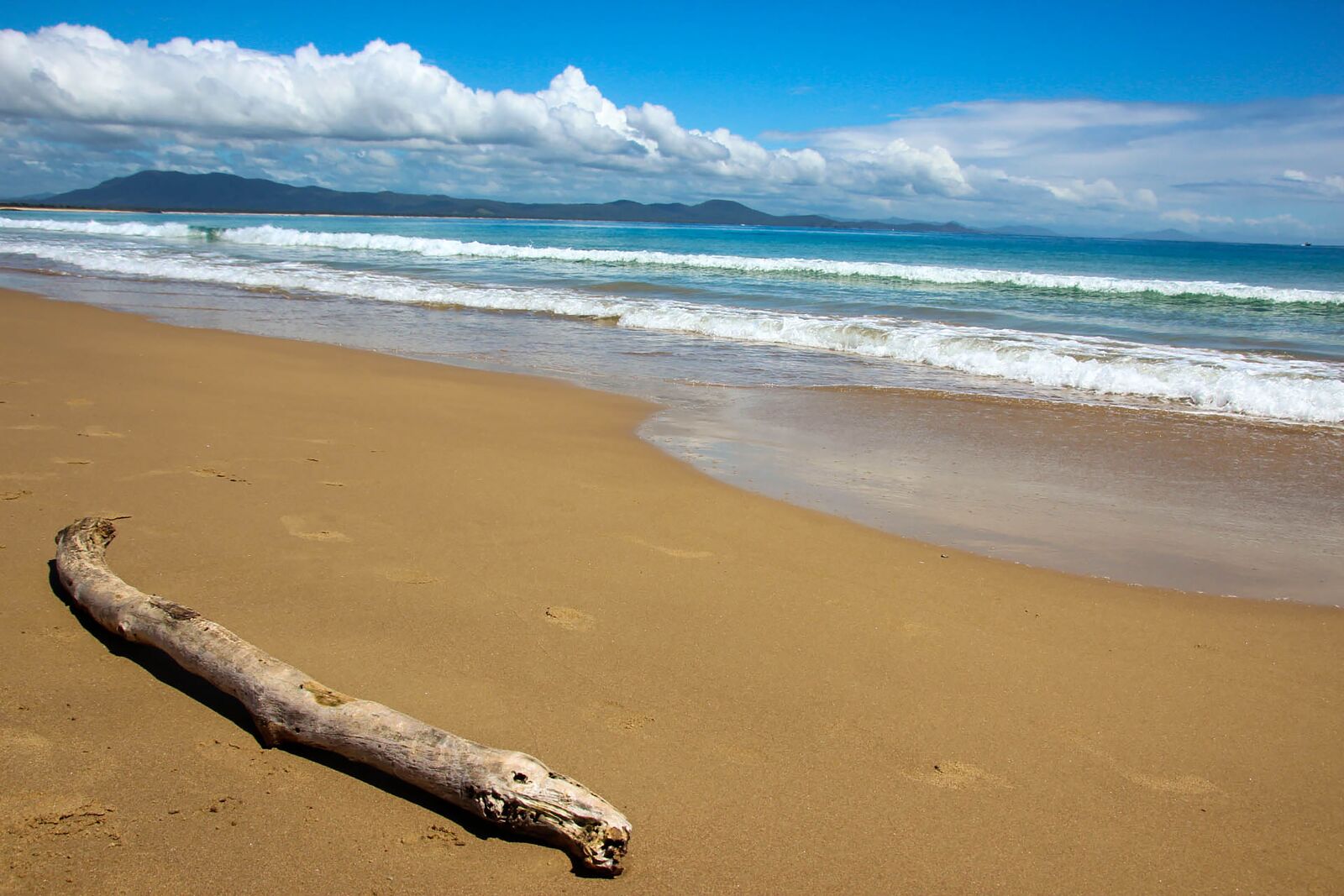 Canon EOS 600D (Rebel EOS T3i / EOS Kiss X5) sample photo. Beach, australian, nature photography