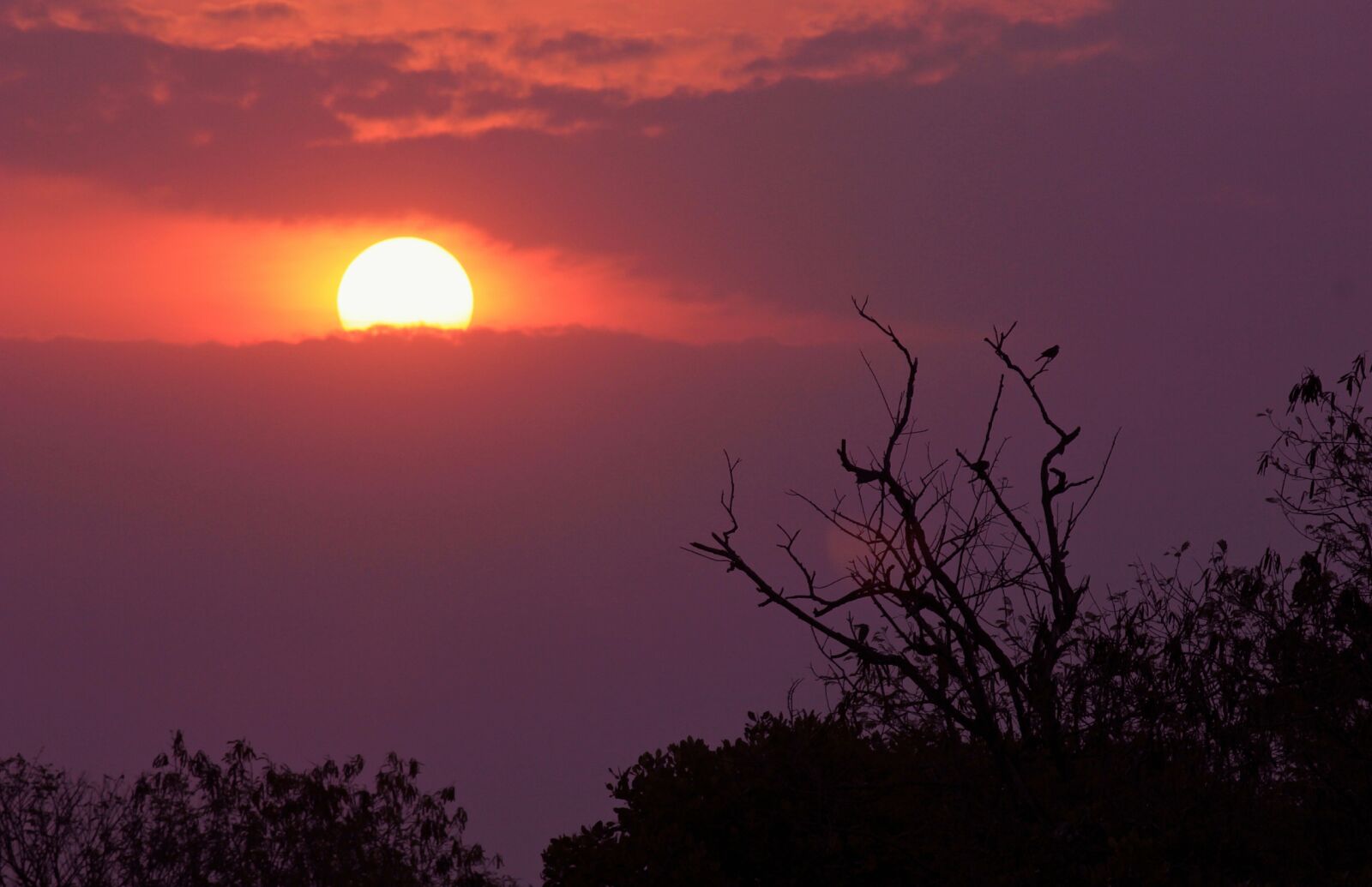 Canon EOS 550D (EOS Rebel T2i / EOS Kiss X4) sample photo. Sunset, orange, sky photography