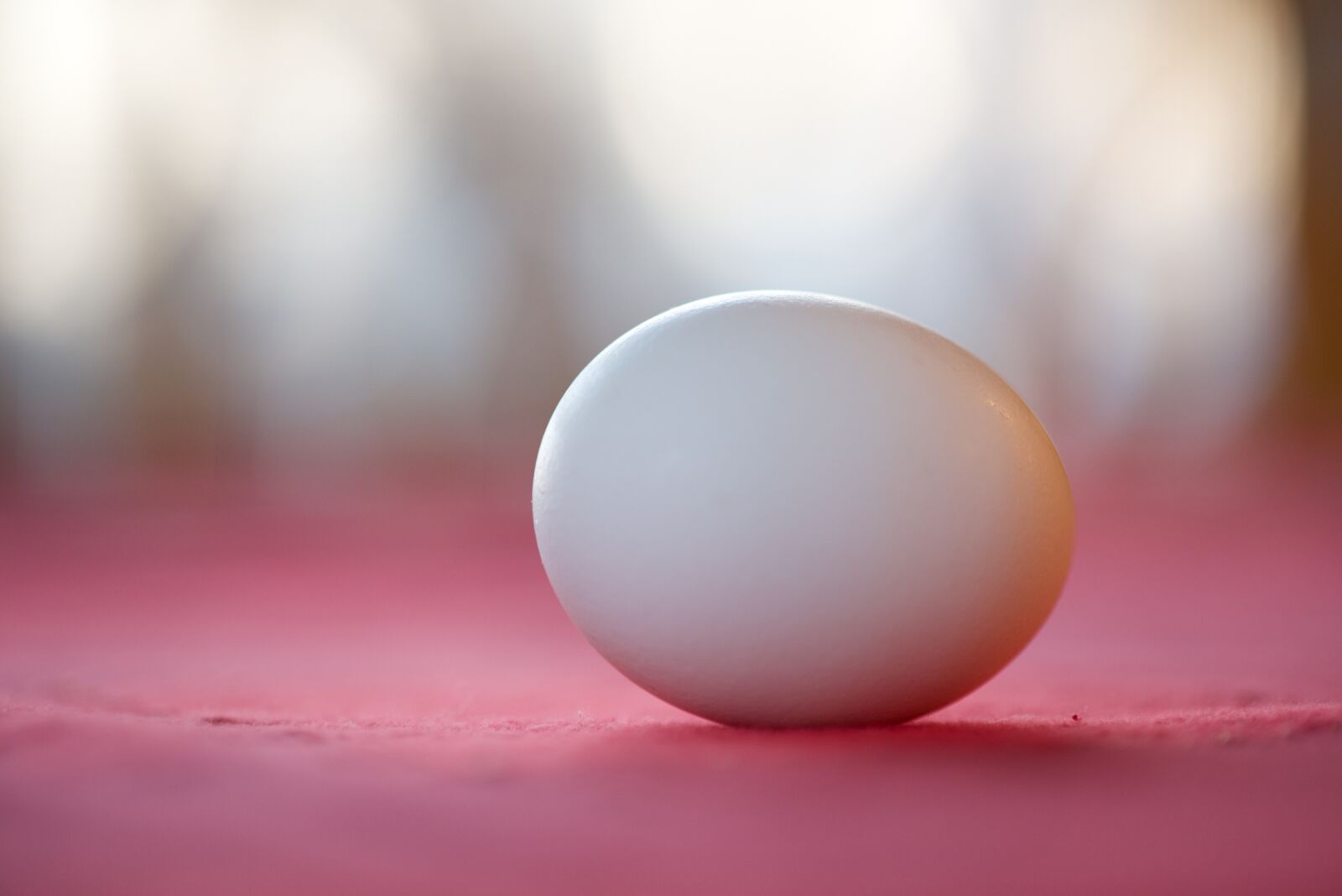Nikon D600 sample photo. Egg, chicken egg, easter photography