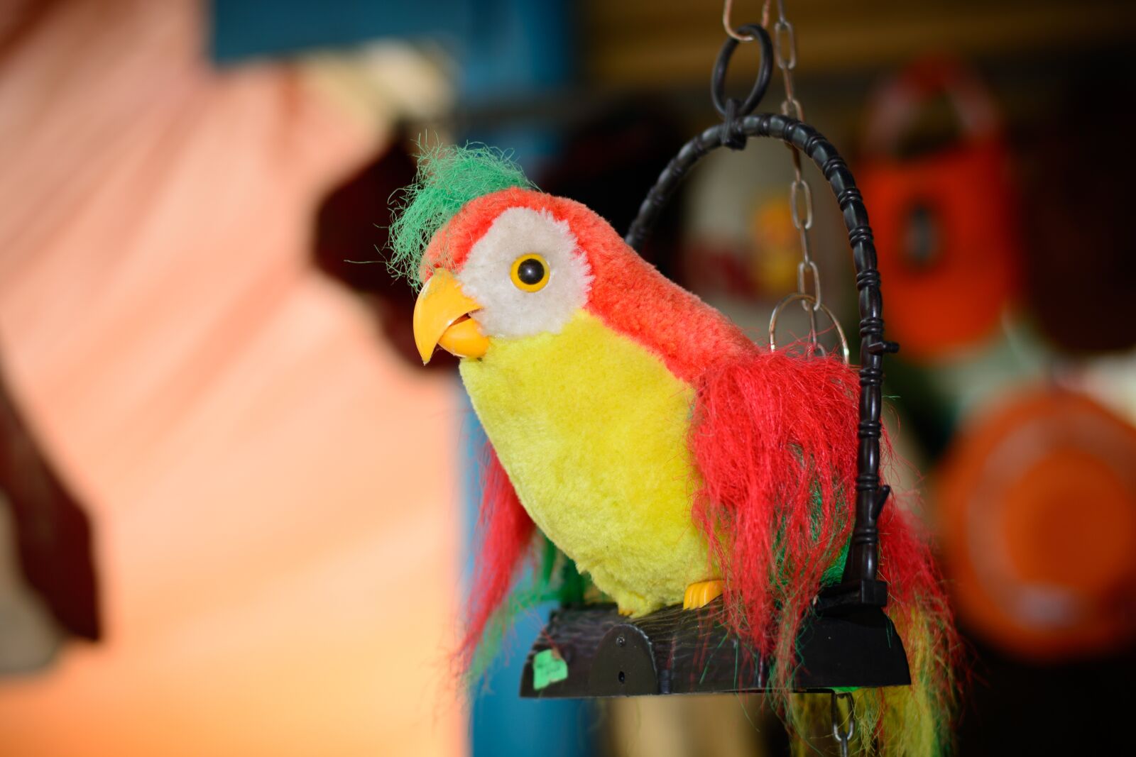 Nikon D7100 sample photo. Bird, yellow, red photography