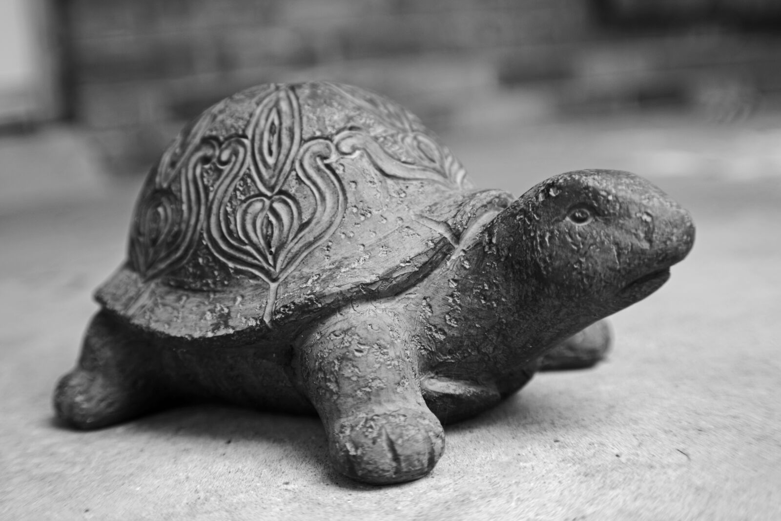 Nikon D5200 sample photo. Turtle, statue, porch photography