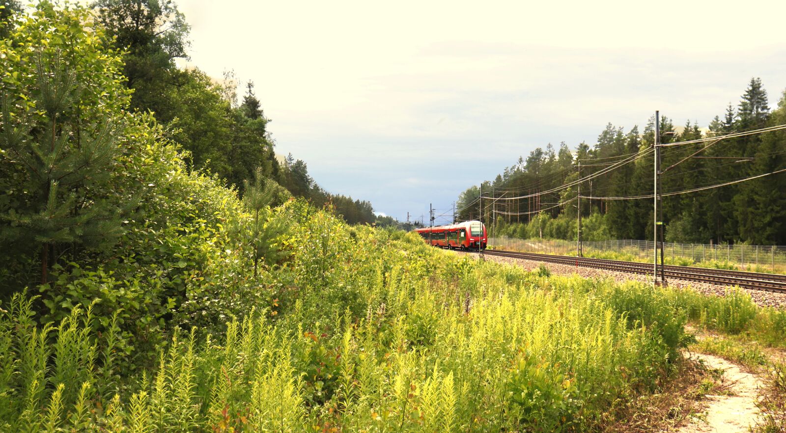 Canon EOS 77D (EOS 9000D / EOS 770D) sample photo. Train, nature, railway photography