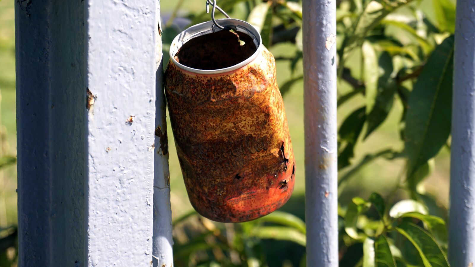 Sony a6000 sample photo. Can, boat, rusty photography