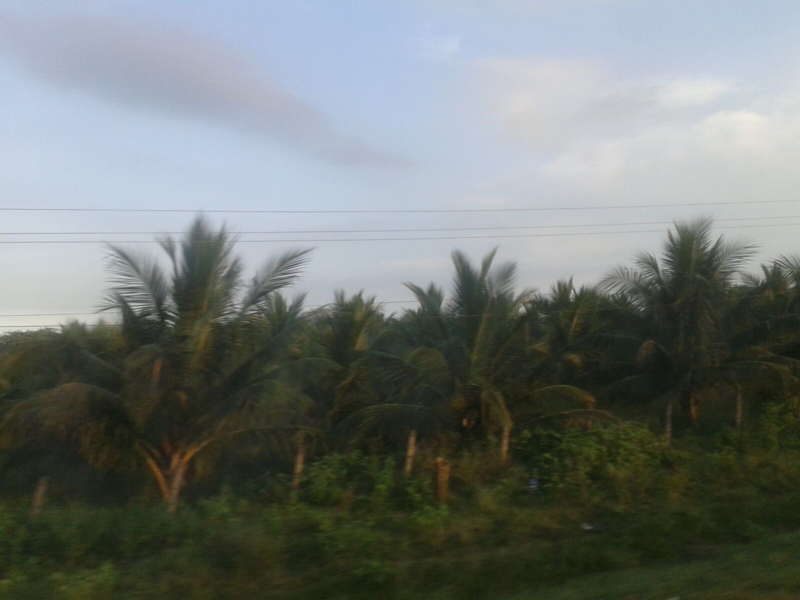 Samsung Galaxy Core sample photo