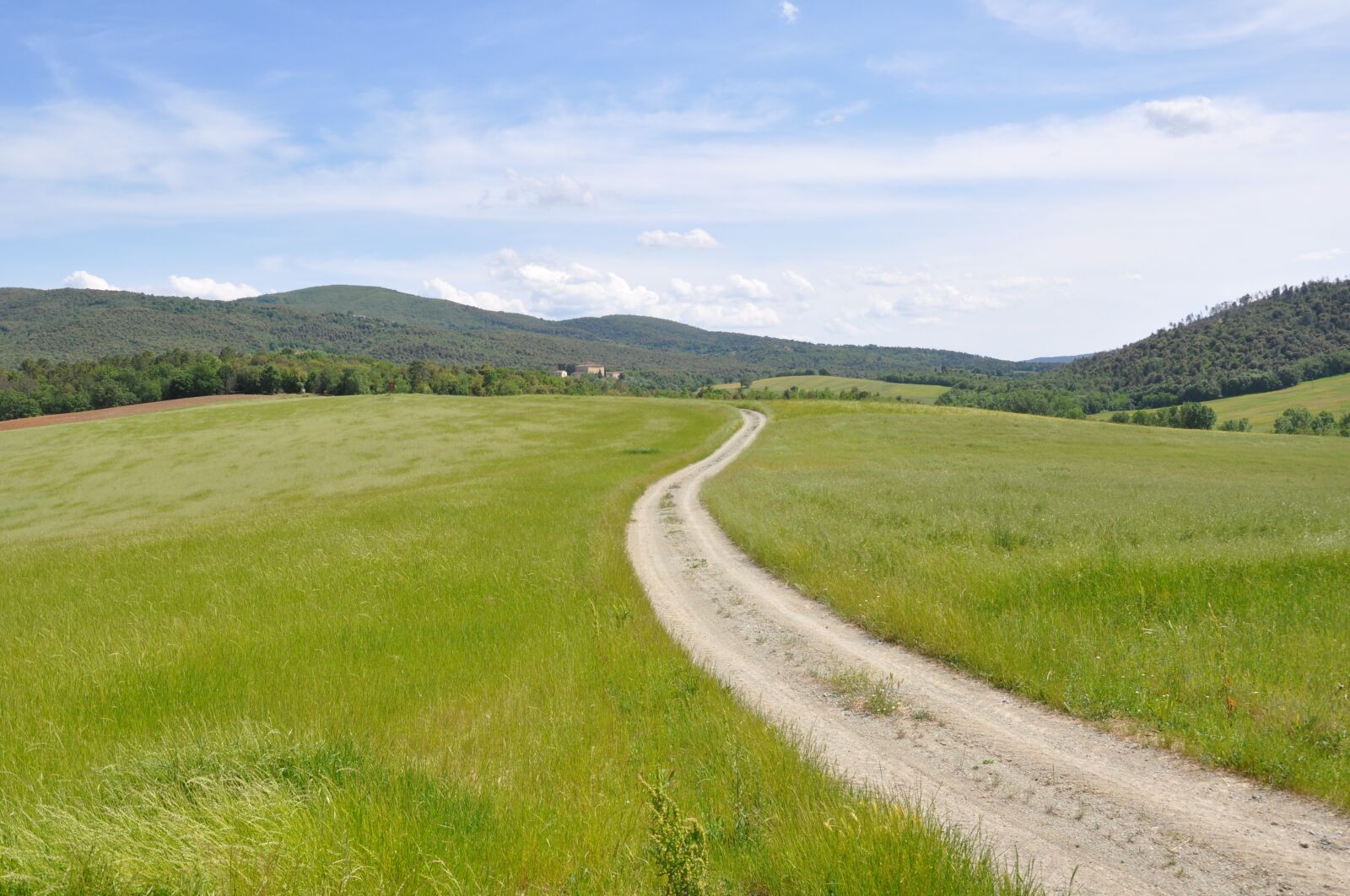 Nikon D90 sample photo. Campaign, tuscany, prato photography