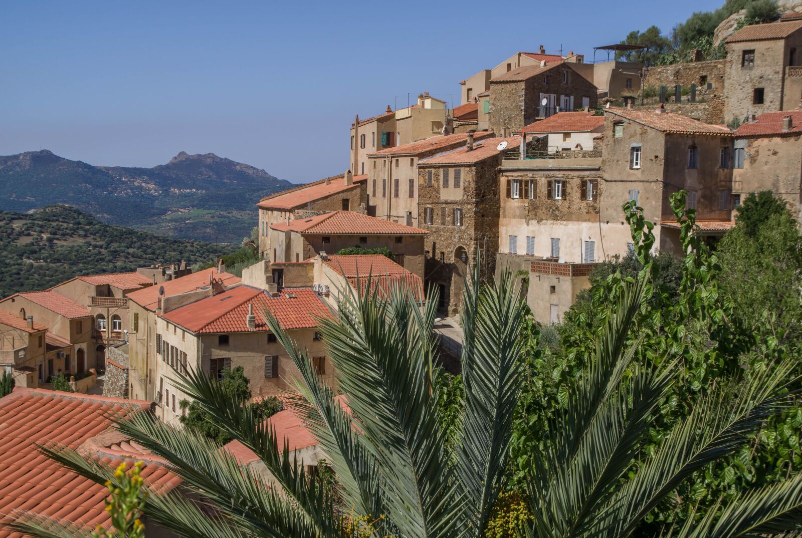 Pentax KP sample photo. Corsican, belgodère, village photography