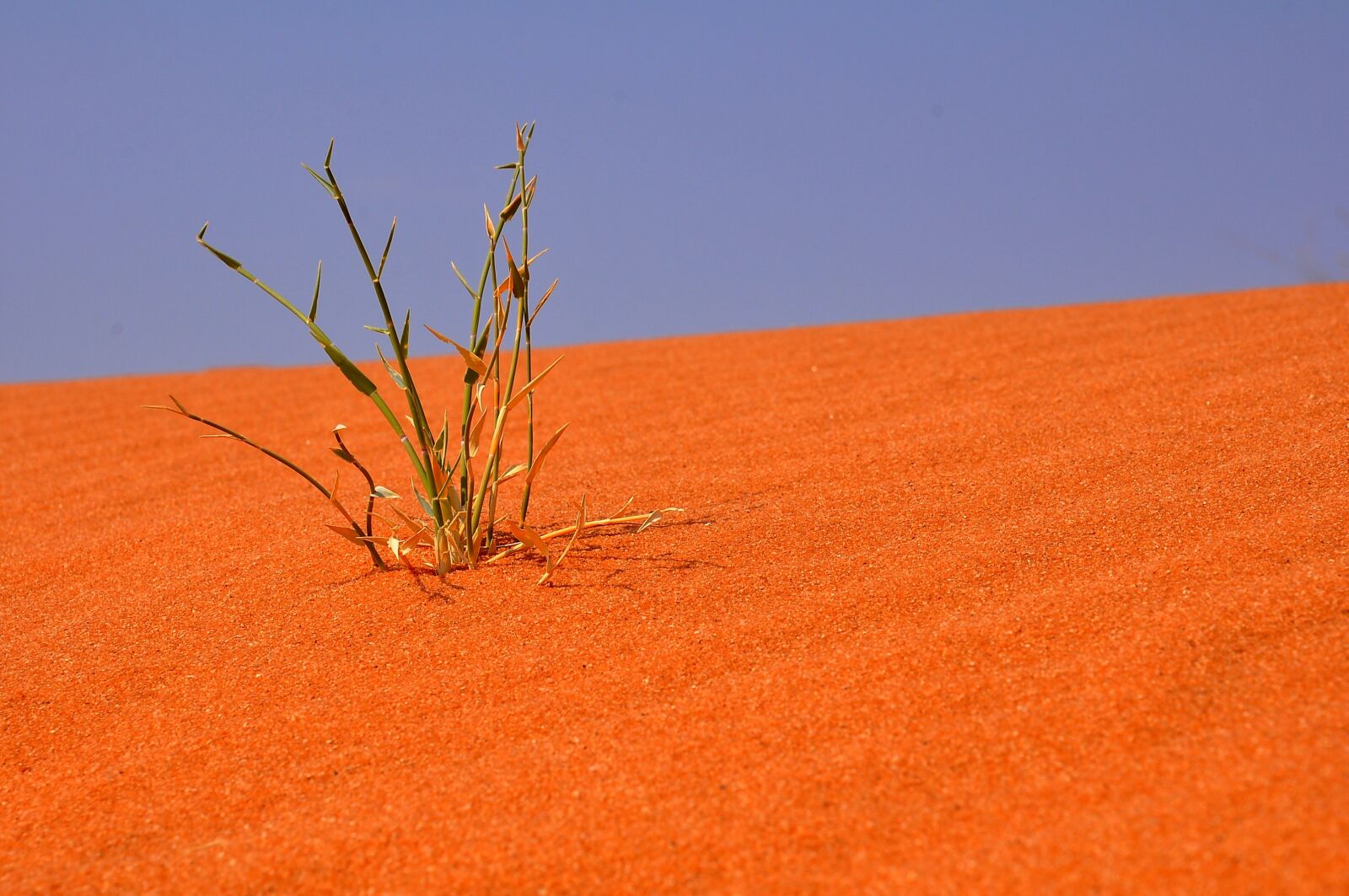 Nikon D90 sample photo. Nature, sky, landscape photography