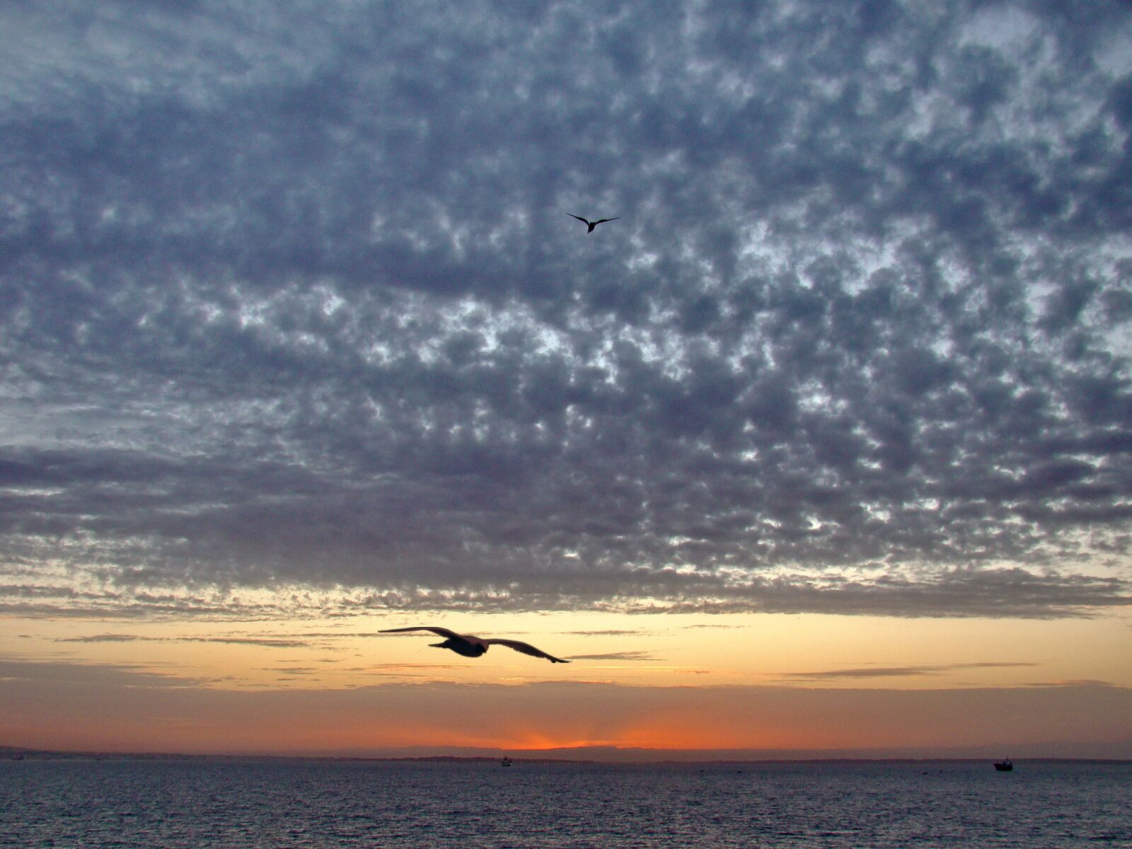 Sony Cyber-shot DSC-H50 sample photo. Casablanca, morocco, africa photography