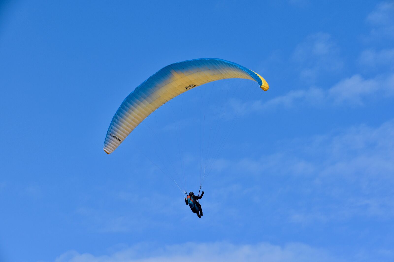 Nikon D5600 sample photo. Paragliding, paraglider, aircraft photography