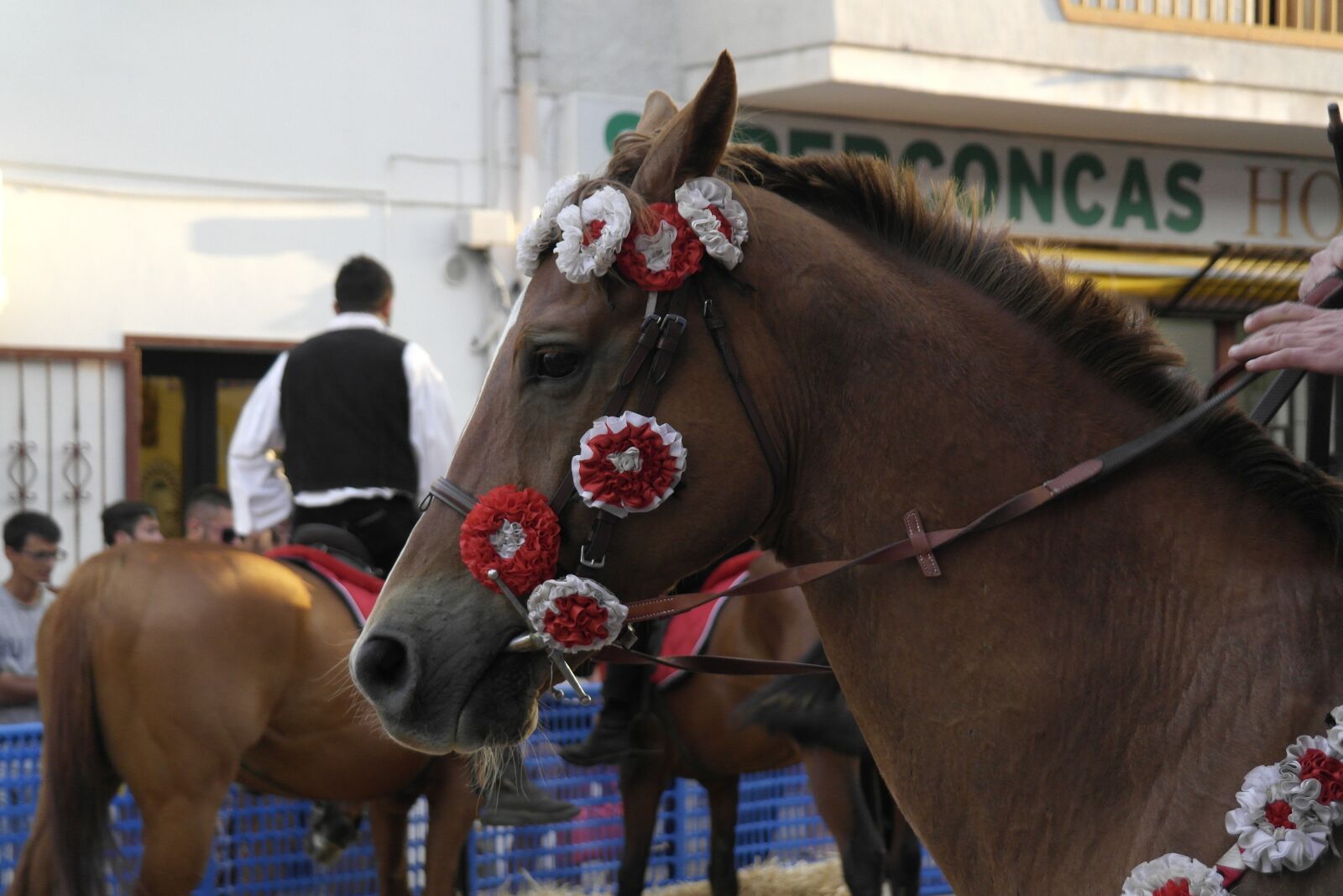 Samsung NX1000 sample photo. Sardinia, horse, rider photography