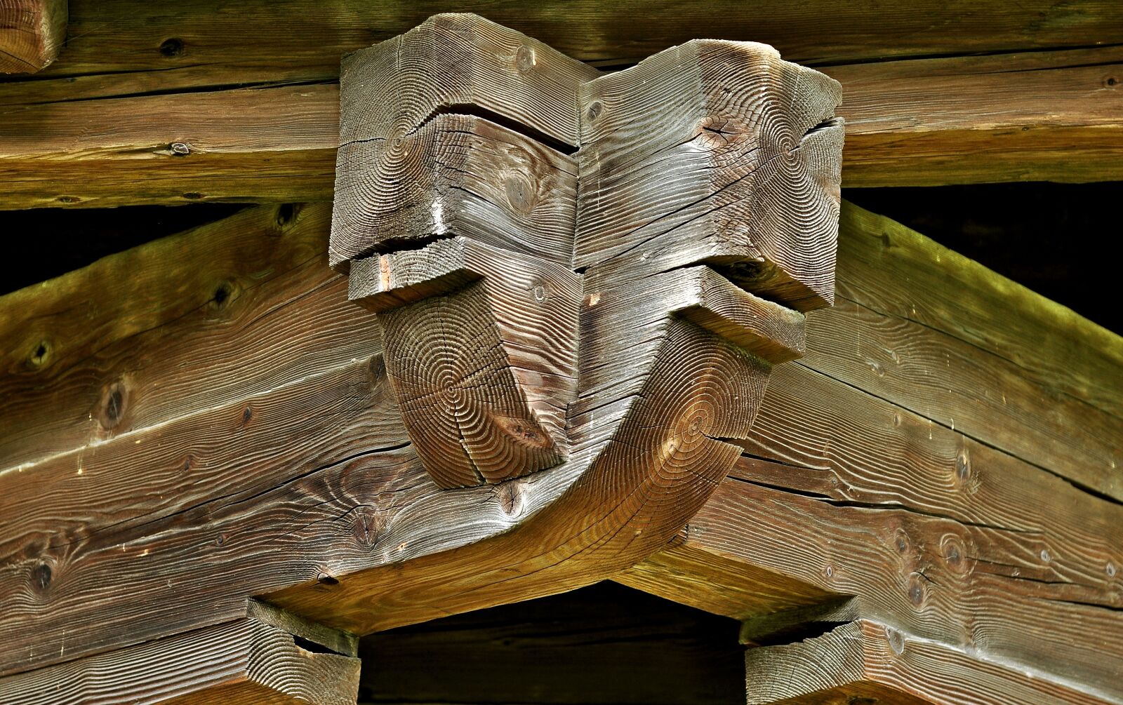 Nikon D90 sample photo. Wood, connection, support photography