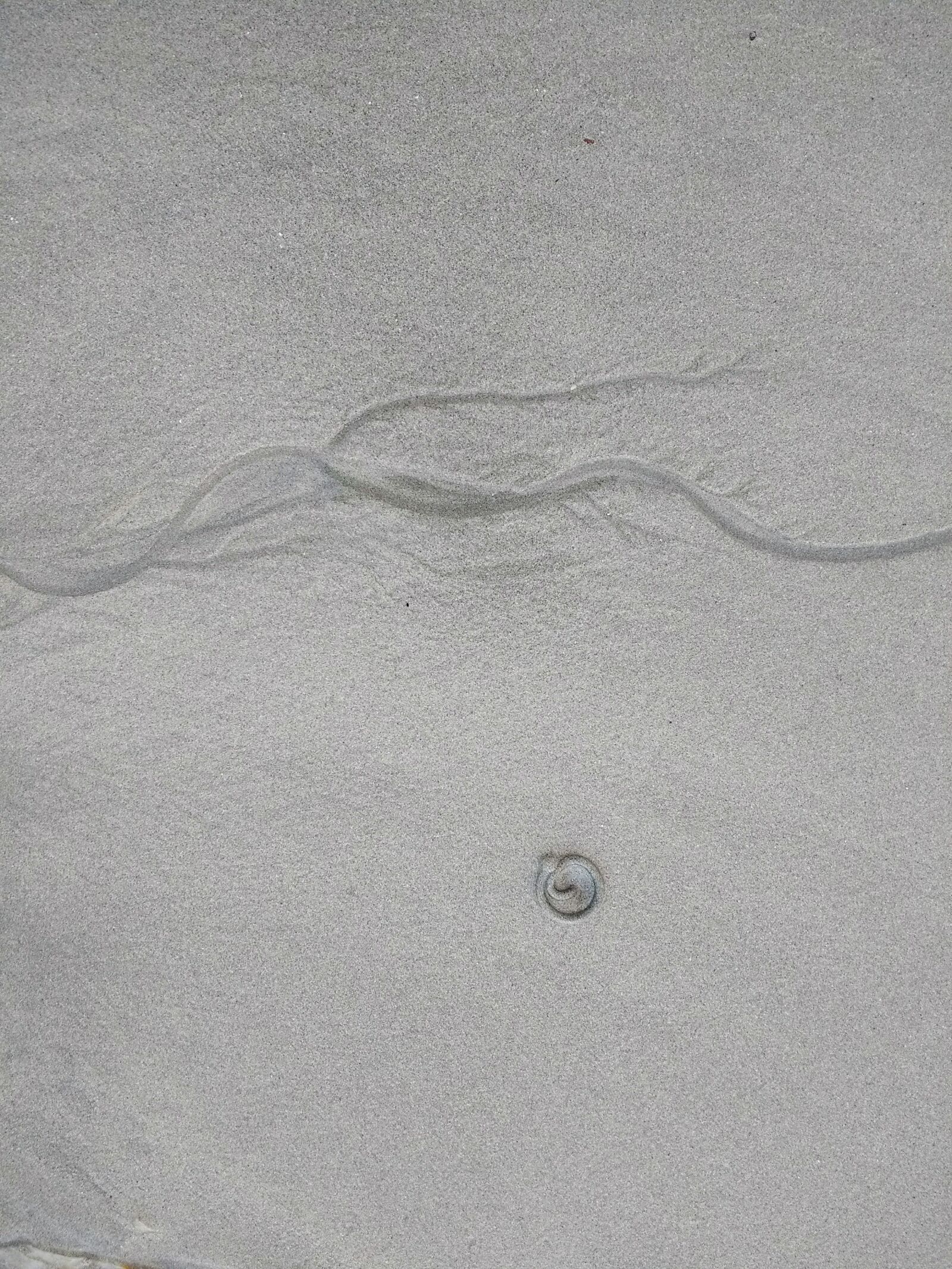 Motorola Moto G (4) sample photo. Sand, beach, ocean photography