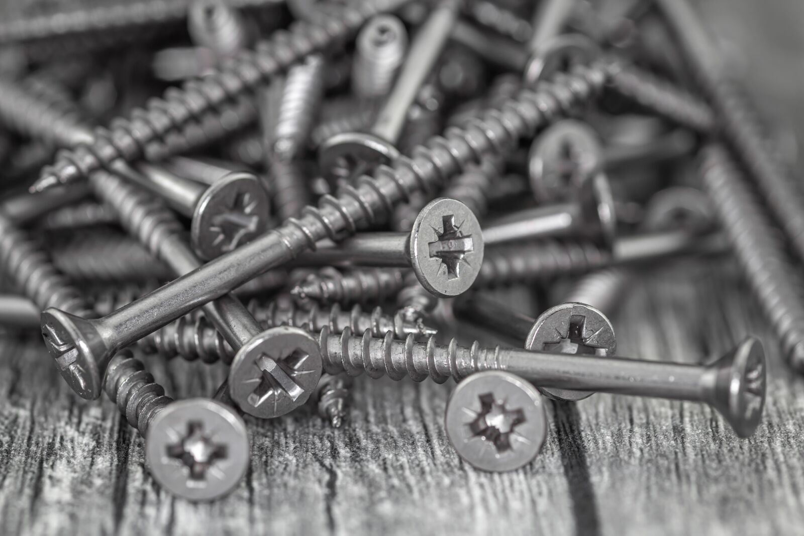 Canon EOS 6D sample photo. Stainless steel screws, stainless photography