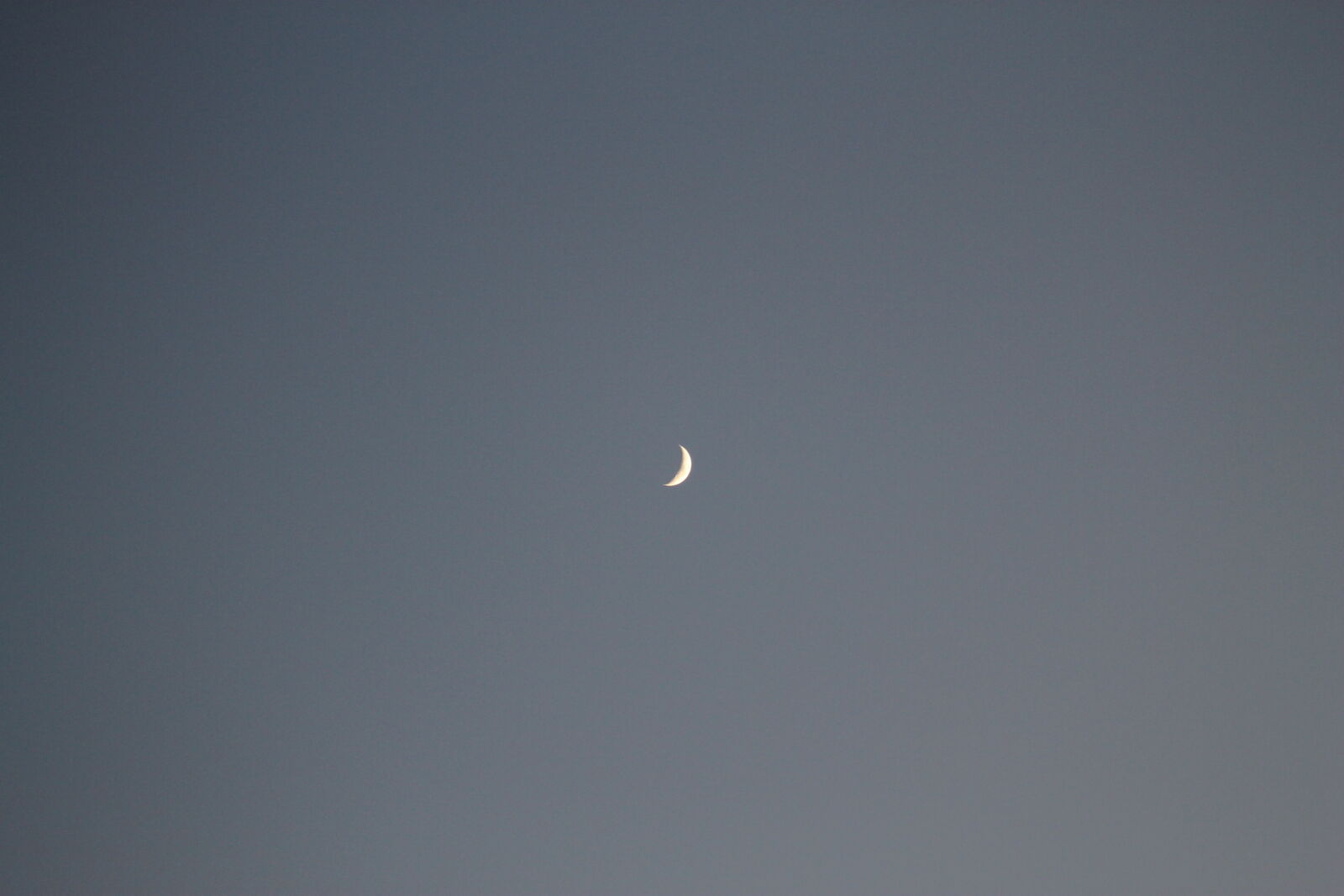 Canon EF 75-300mm f/4-5.6 sample photo