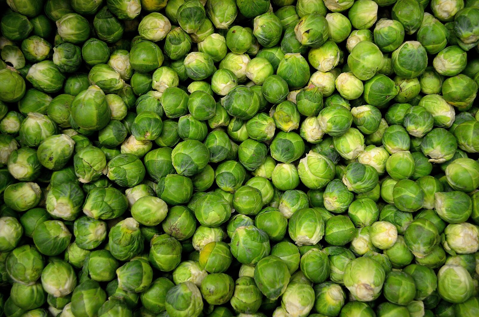 Nikon D5100 sample photo. Green, round, vegetables photography