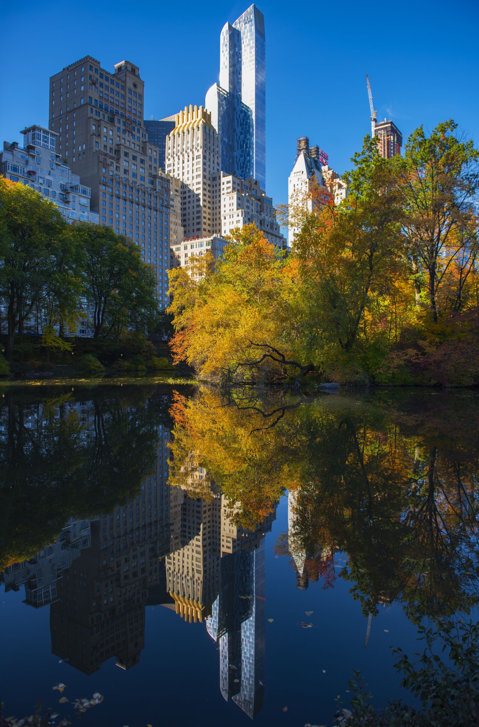 Nikon D810 sample photo. Central park, reflection, autumn photography