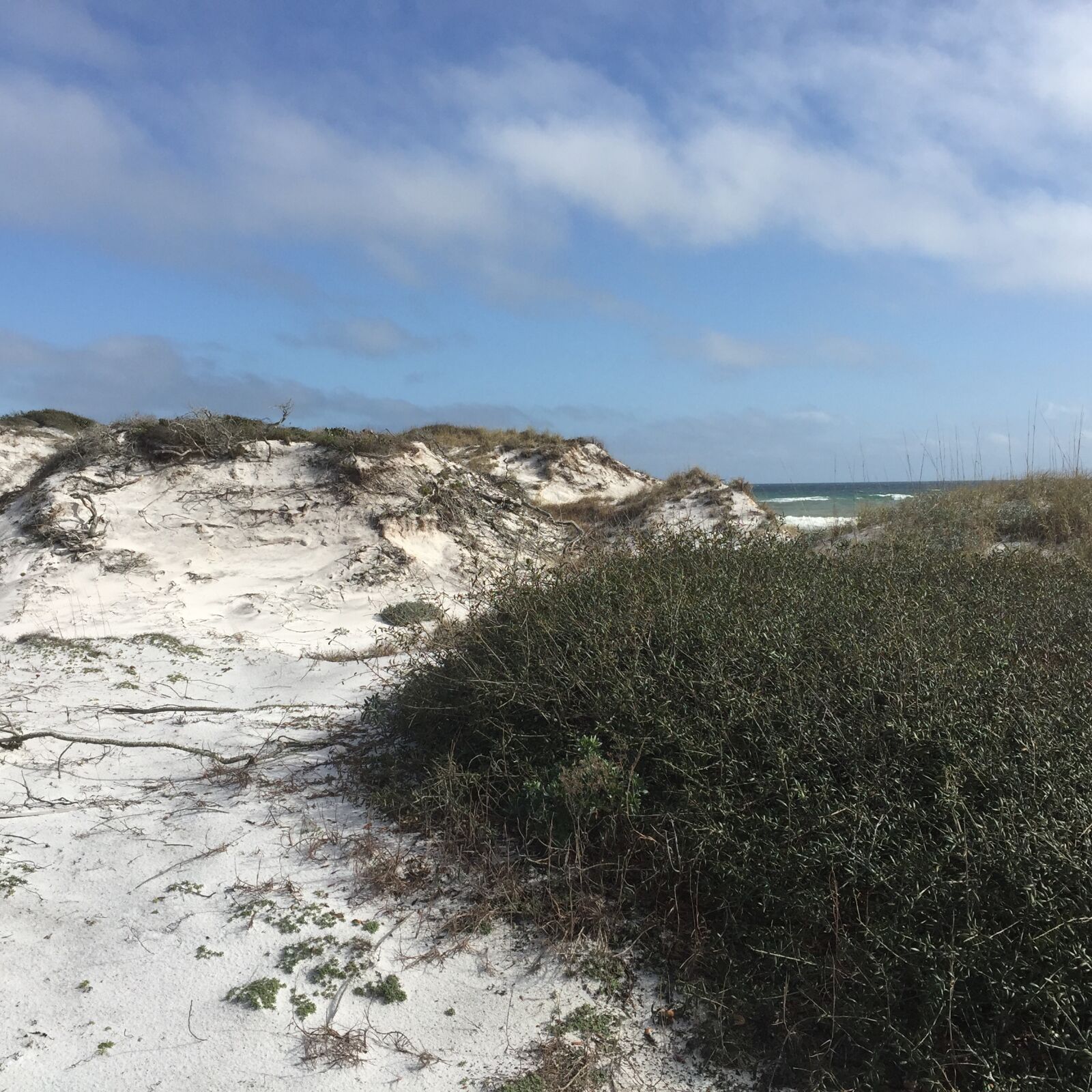 iPhone 6 Plus back camera 4.15mm f/2.2 sample photo. Dunes, sand, gulf photography
