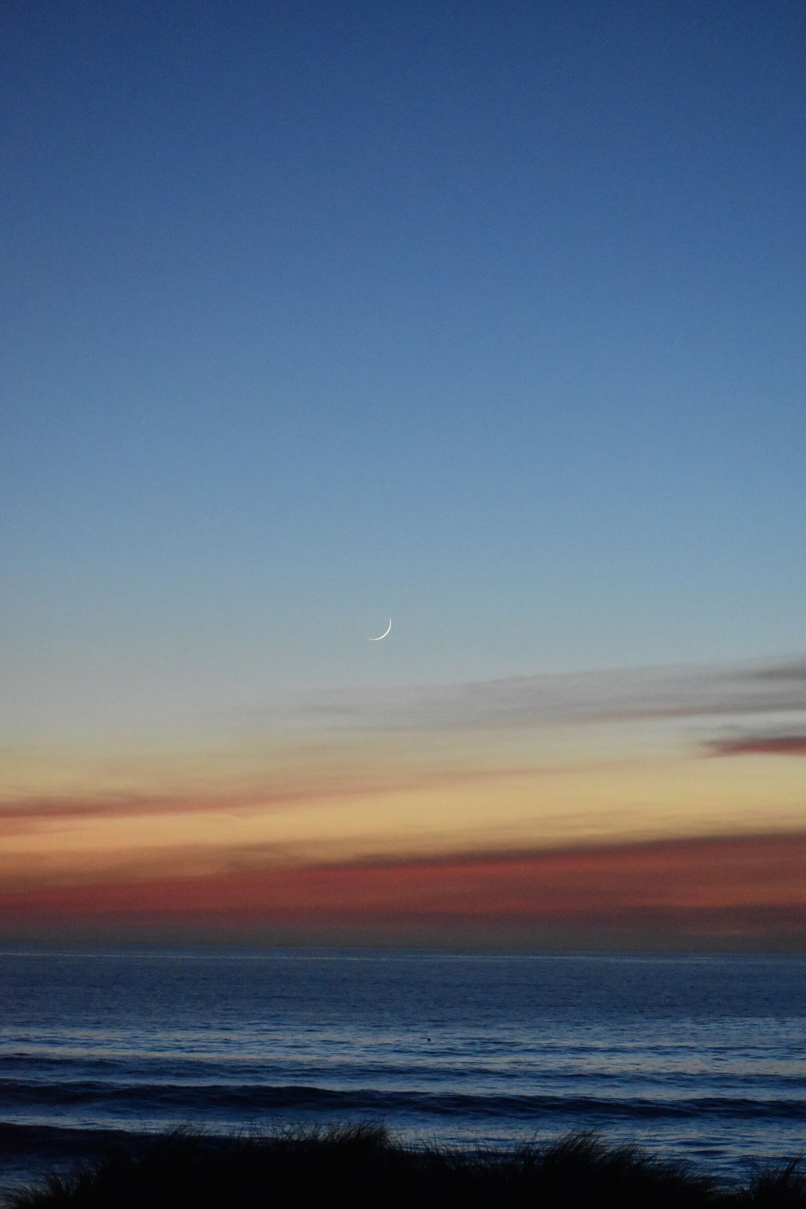 Nikon D5600 sample photo. Moon, sea, sunset photography
