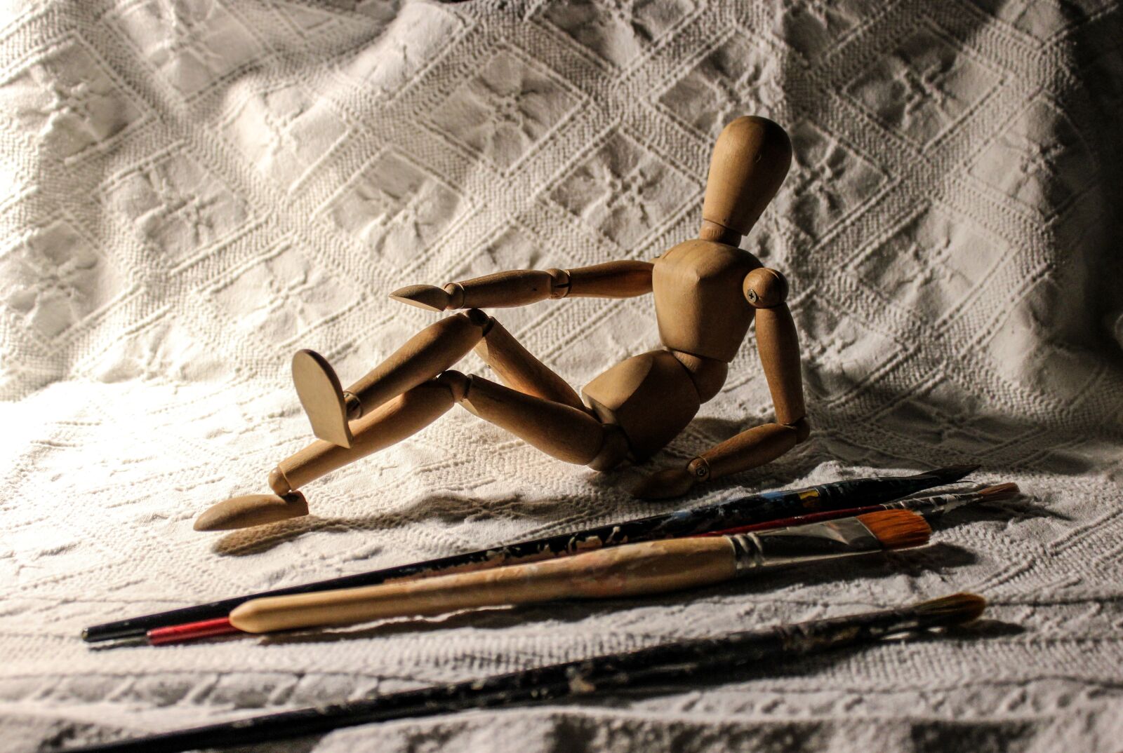 Canon EOS 550D (EOS Rebel T2i / EOS Kiss X4) sample photo. Dummy, paintbrushes, paint photography