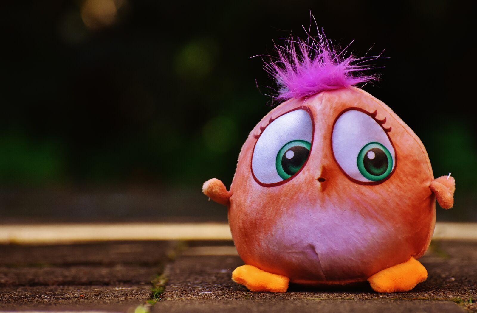 Nikon D7200 sample photo. Bird, birdie, plush photography