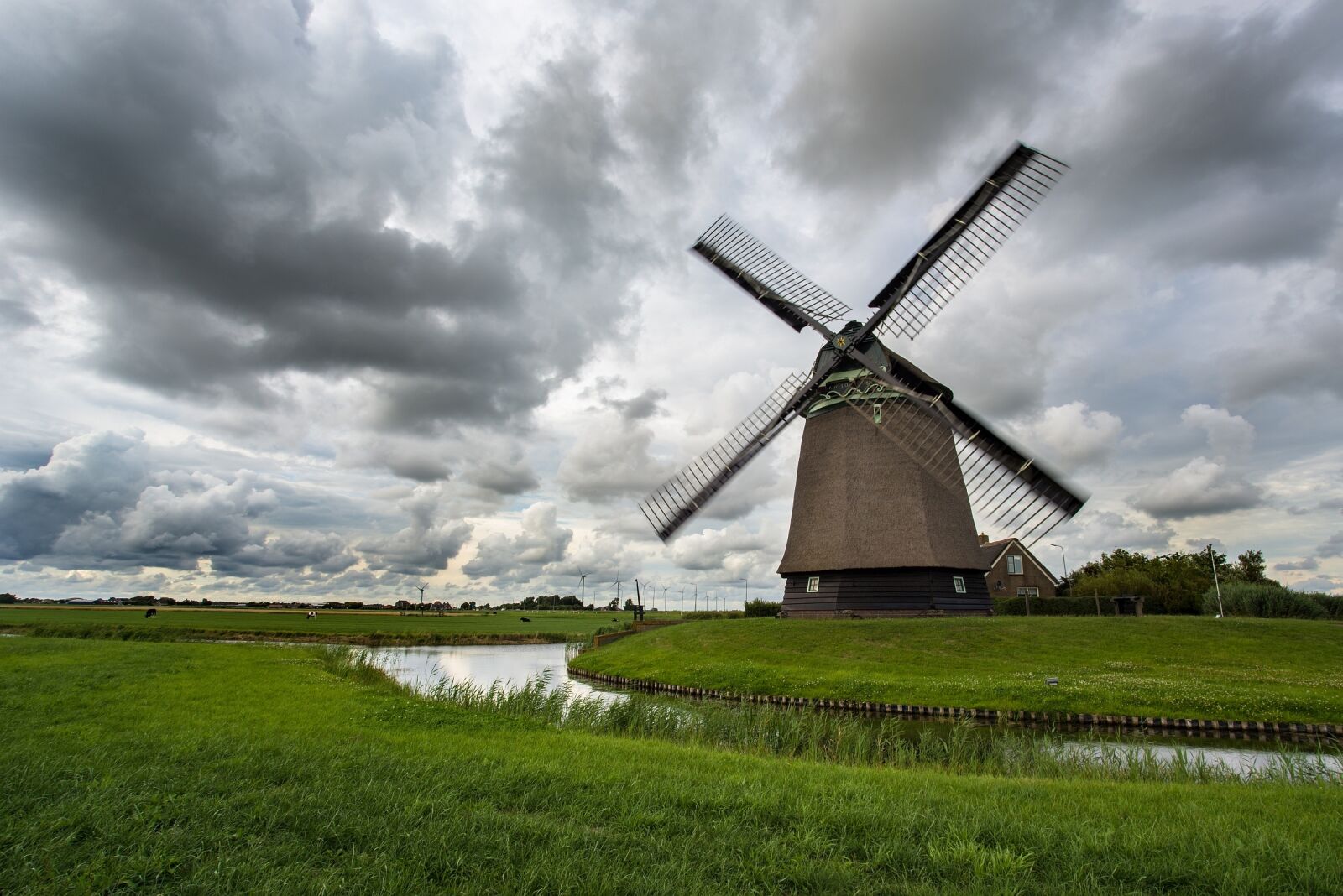 Nikon D600 sample photo. Windmill, movement, wind photography