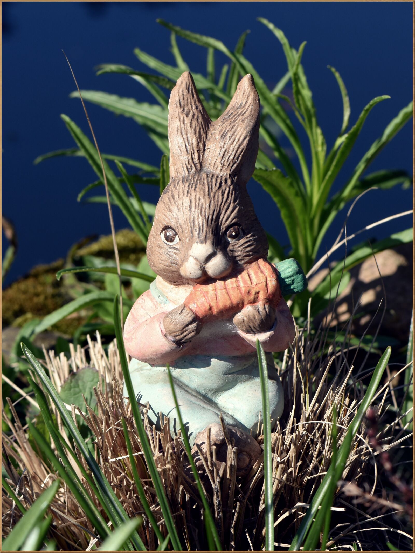 Nikon D5600 sample photo. Easter, easter bunny, hare photography